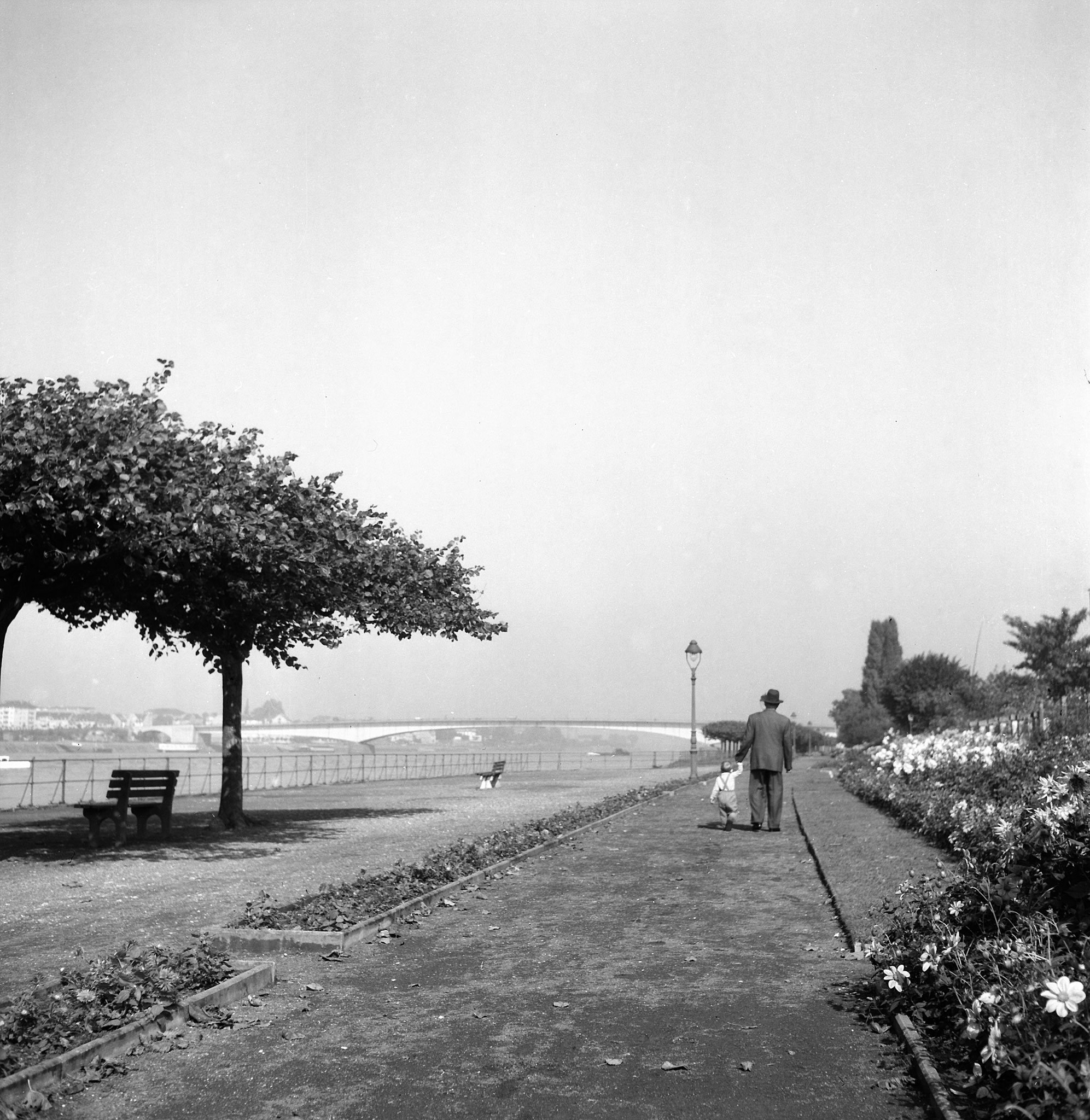 Die Rheinpromenade in den 50er Jahren