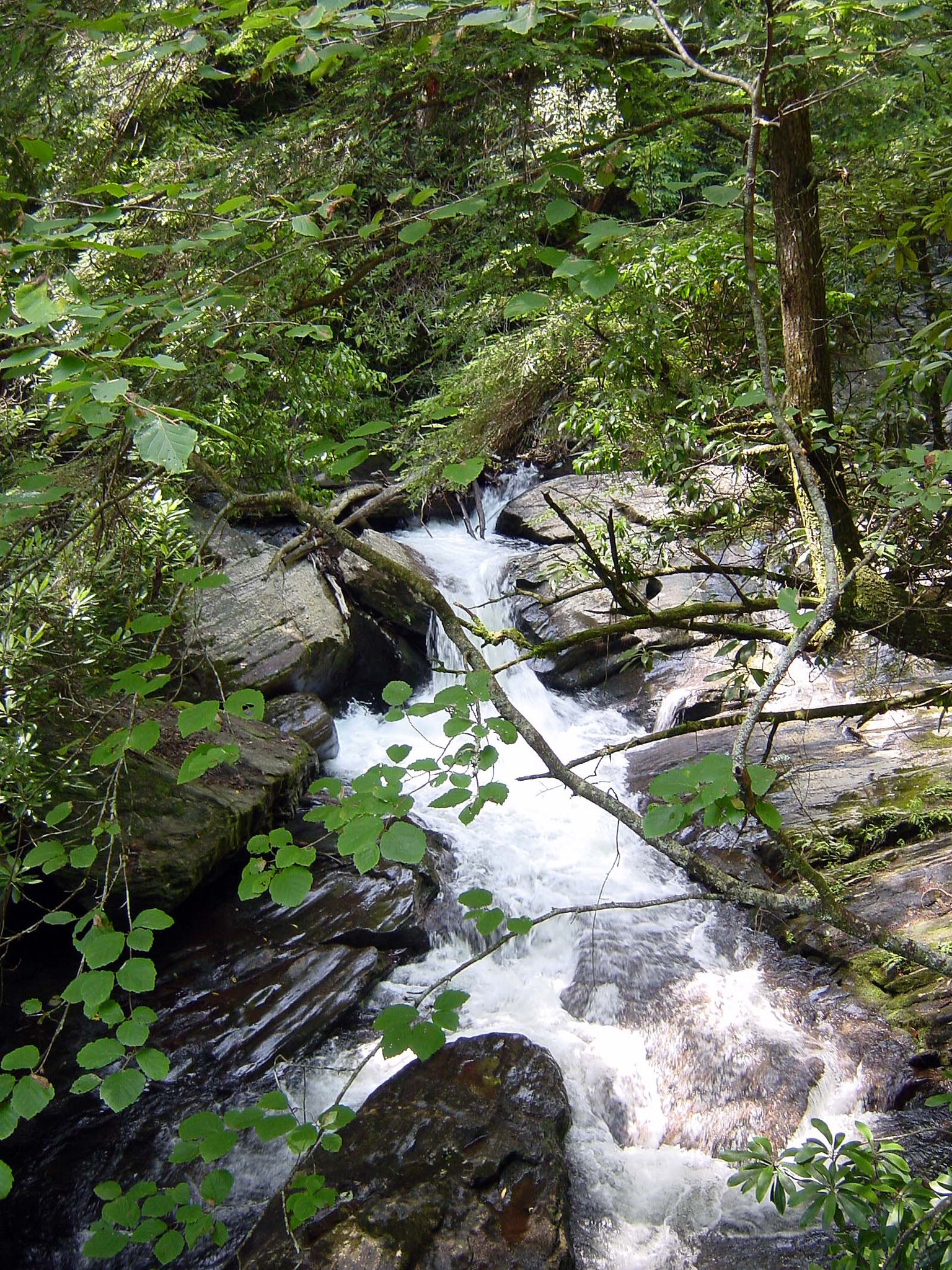 Dukes Creek Falls