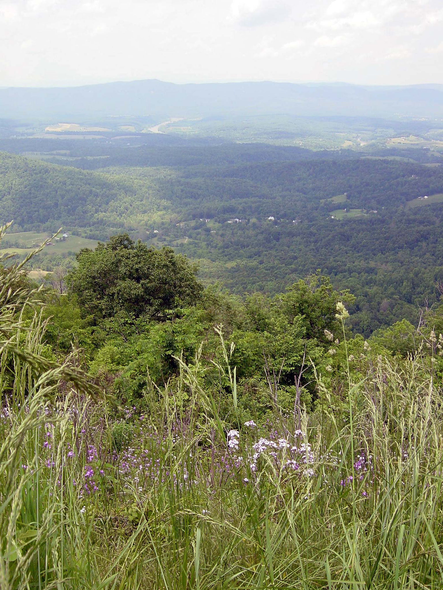 Shenandoah National Park
