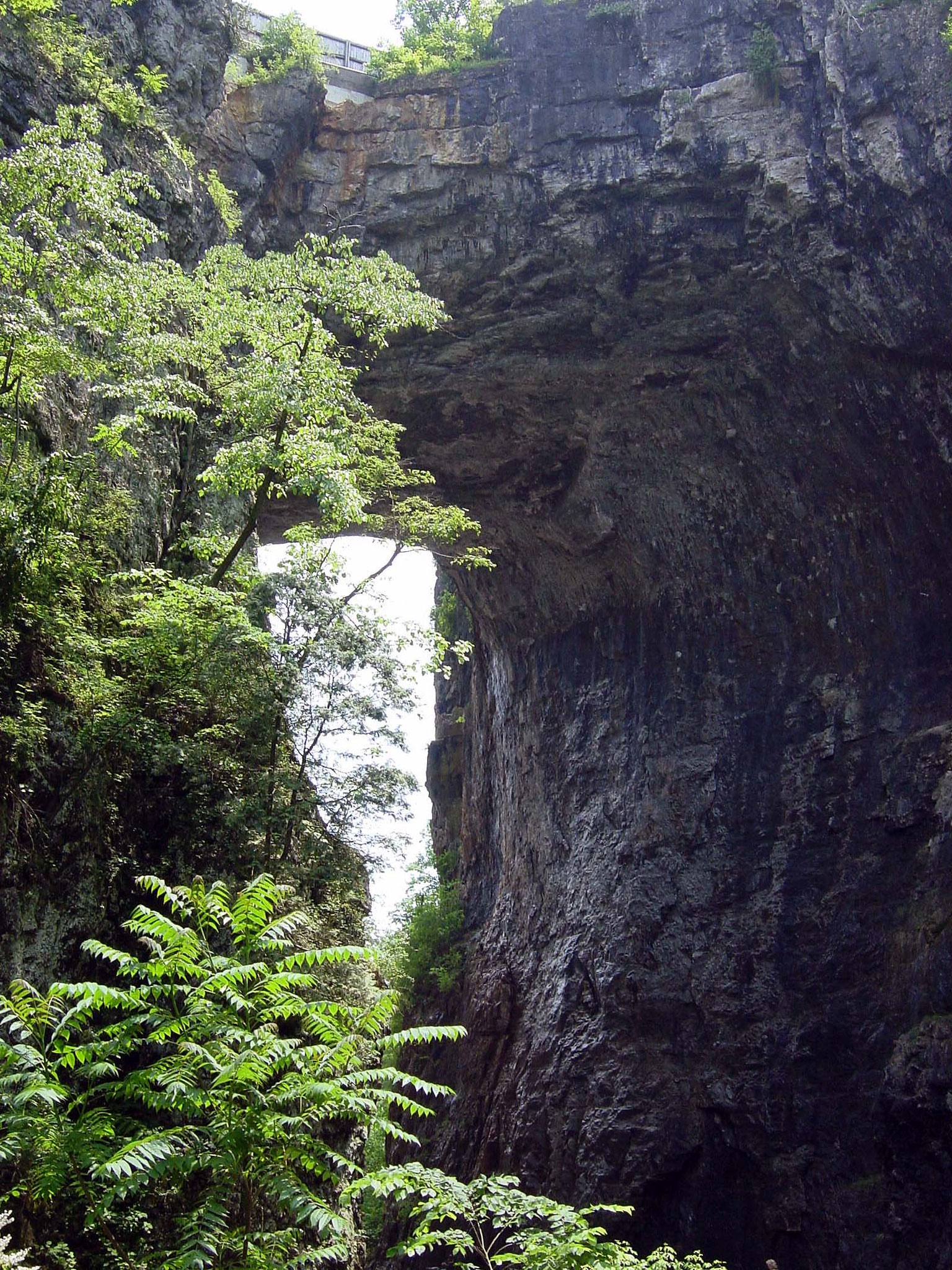 Natural Bridge