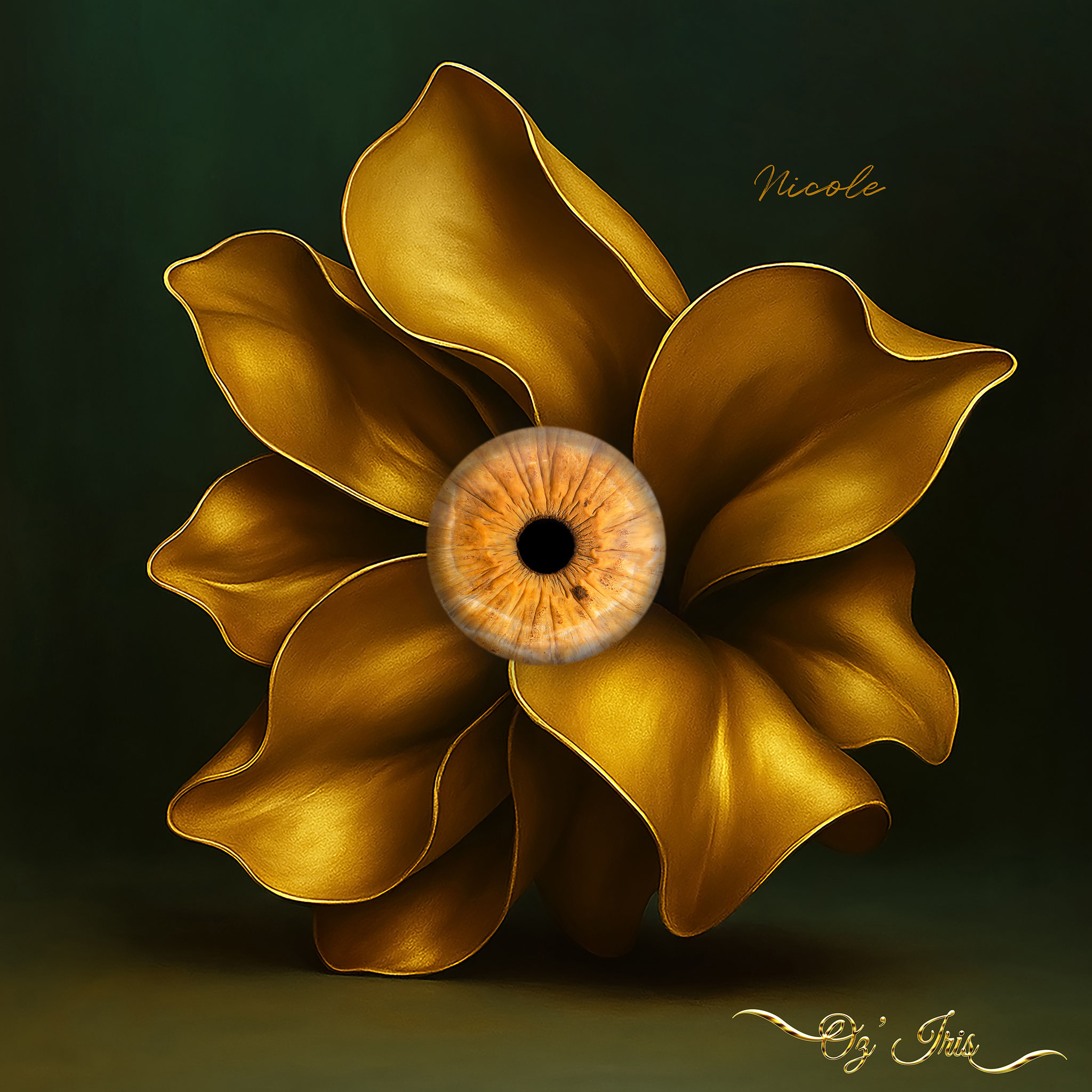 Oz' Iris, Photographie d' Iris à Millau ( Aveyron )