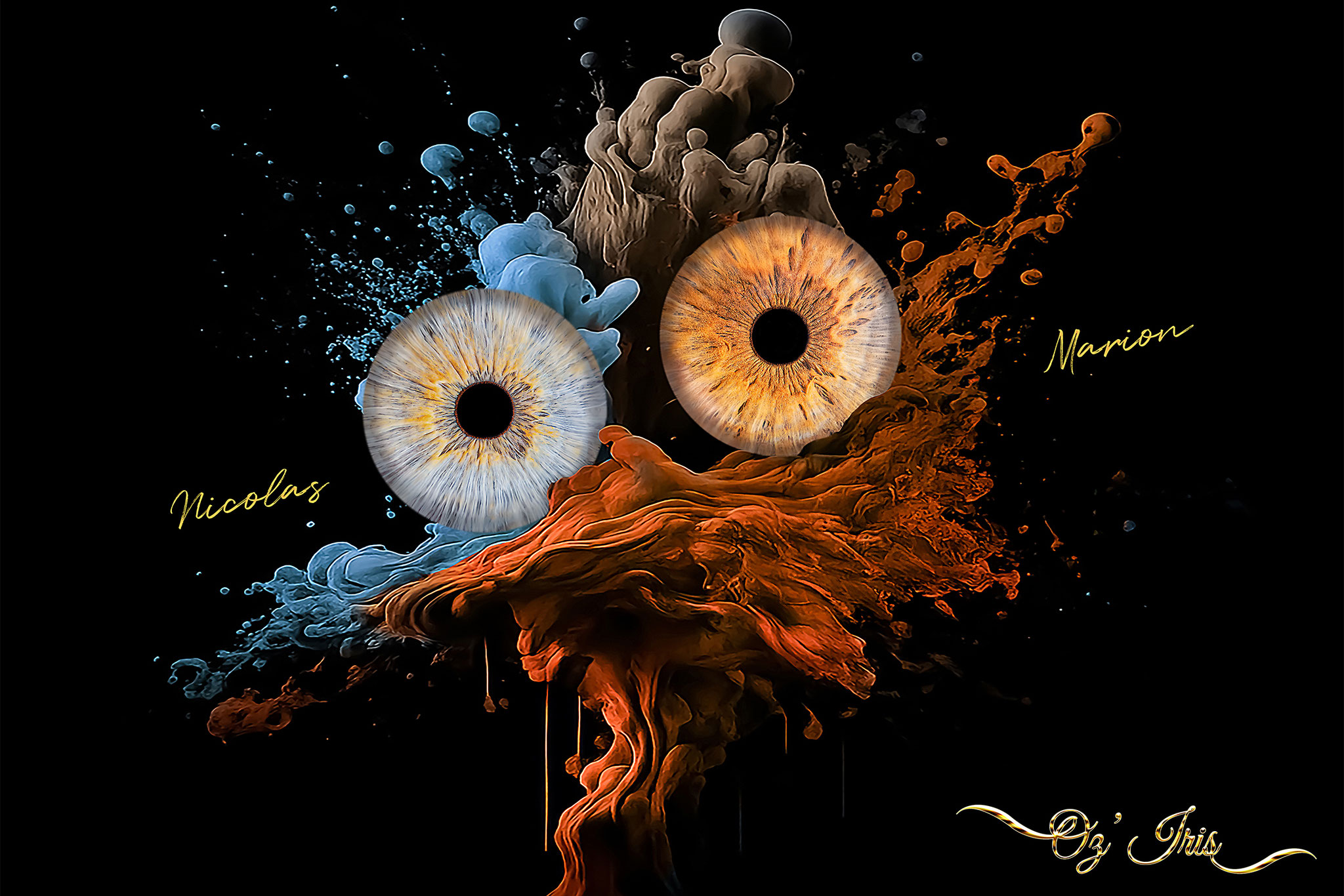 Oz' Iris, Photographie d' Iris à Millau ( Aveyron )