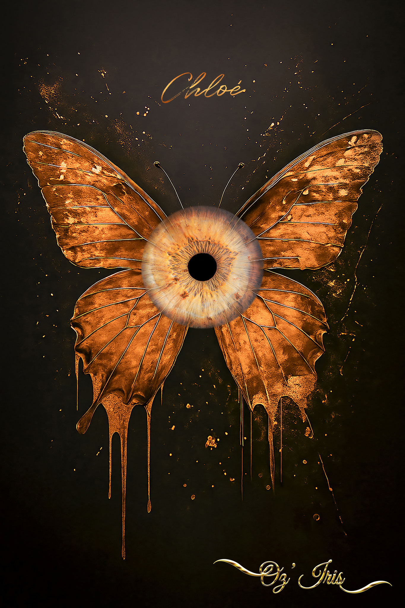 Oz' Iris, Photographie d' Iris à Millau ( Aveyron )