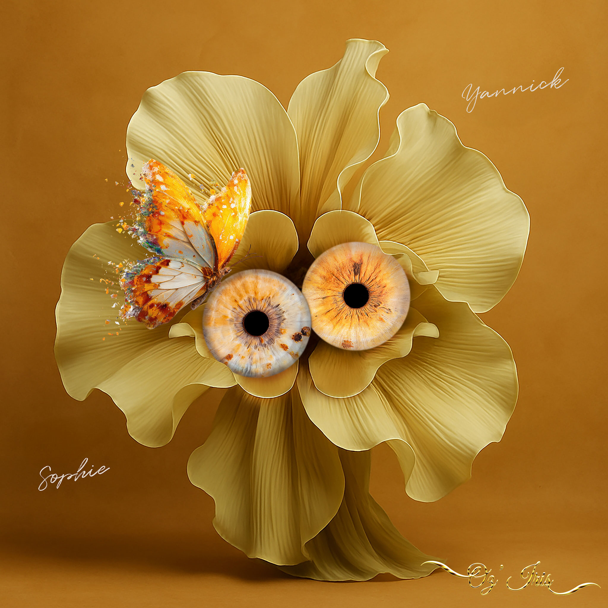 Oz' Iris, Photographie d' Iris à Millau ( Aveyron )