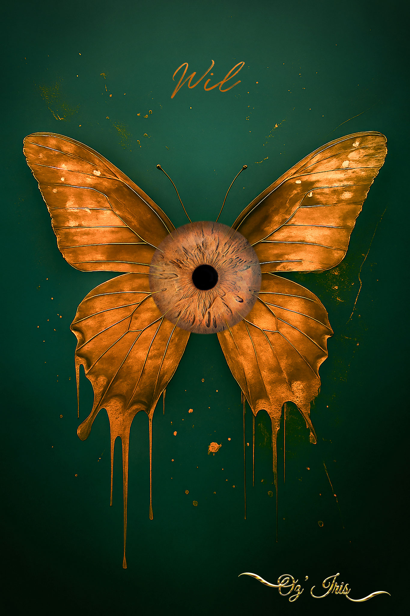 Oz' Iris, Photographie d' Iris à Millau ( Aveyron )