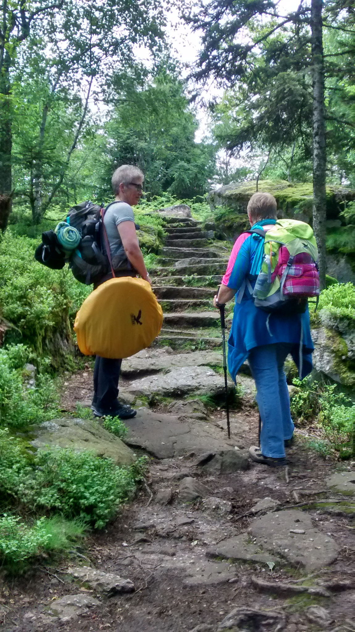 Wanderung zum Taennchel