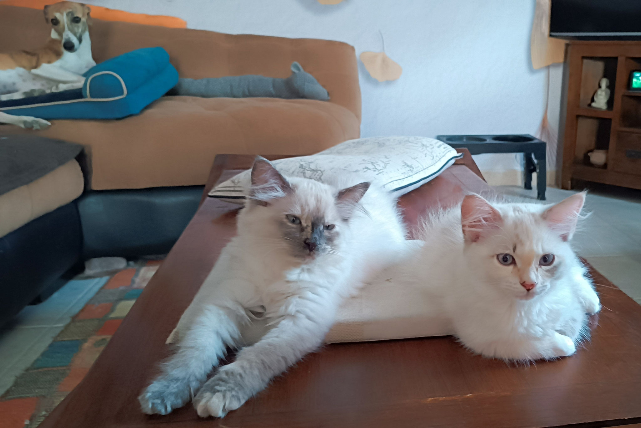 Portée W2R : On se lève en chantant