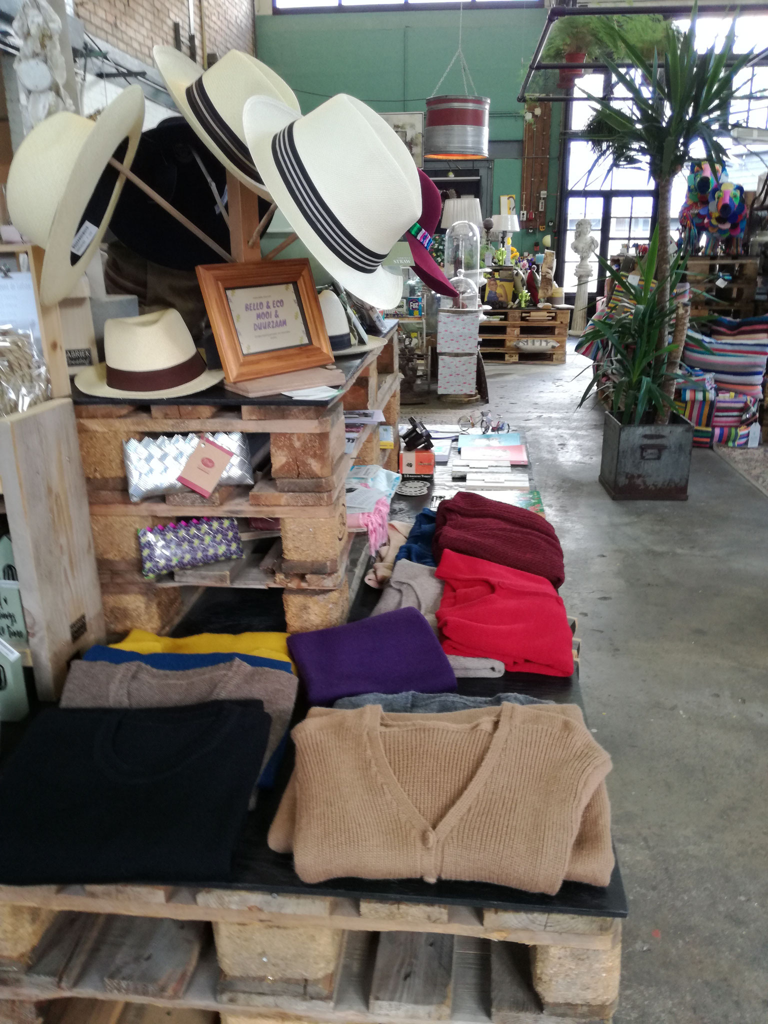 Onze mooie collectie