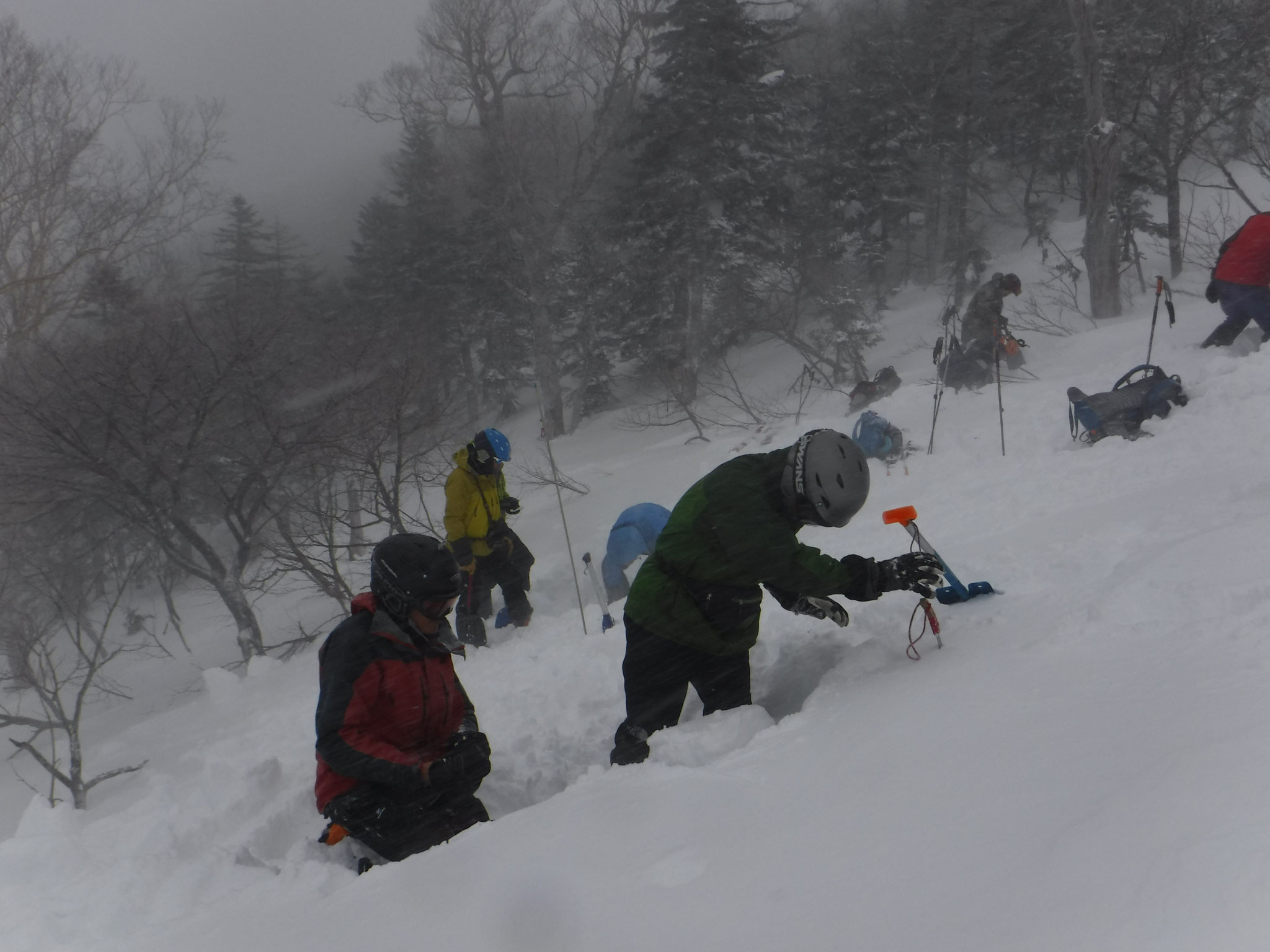 2/2　10:15　剣ケ峰手前でピットチェック