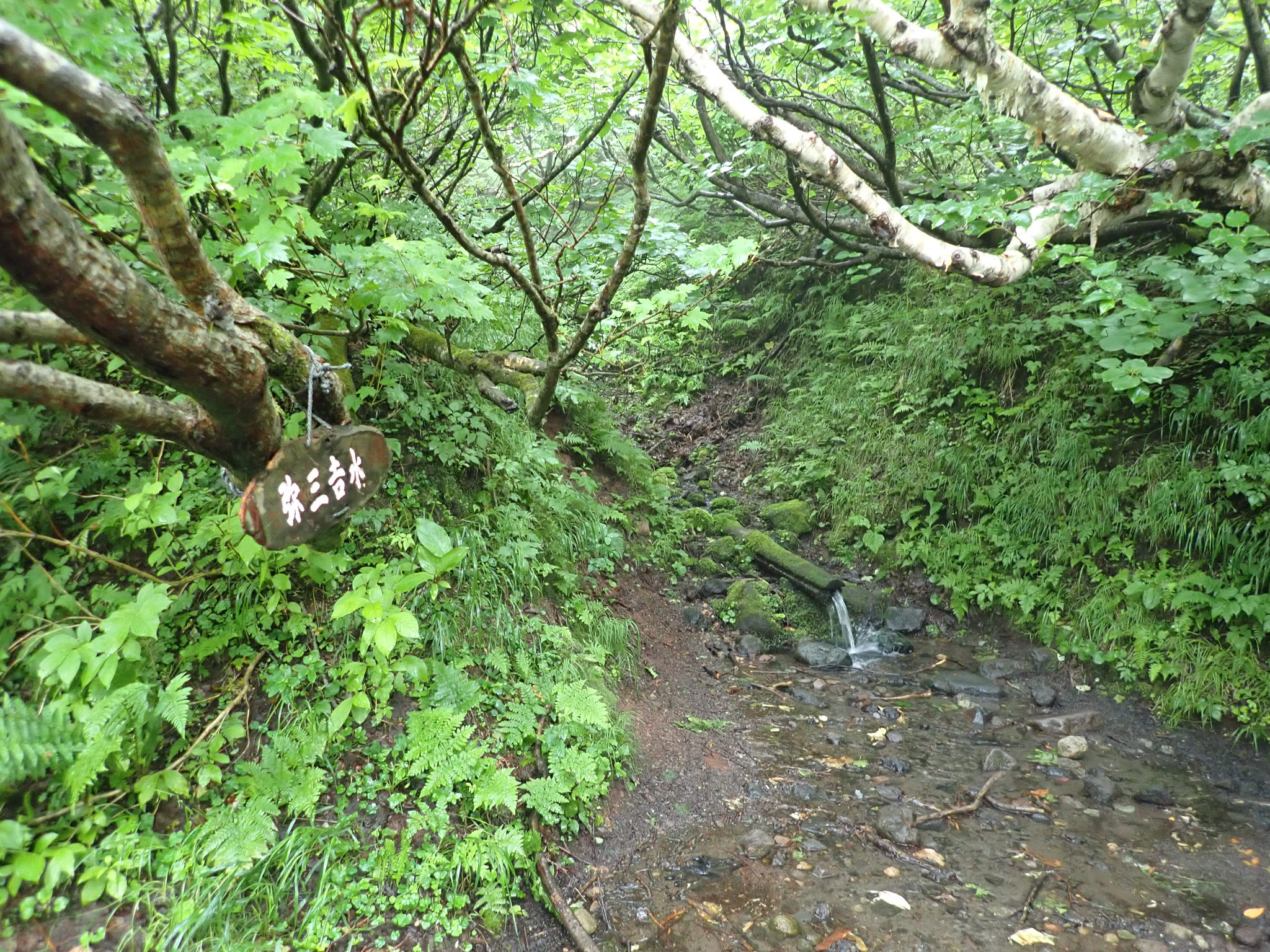 弥三吉水　水量は豊富。水は下から背負っていった。