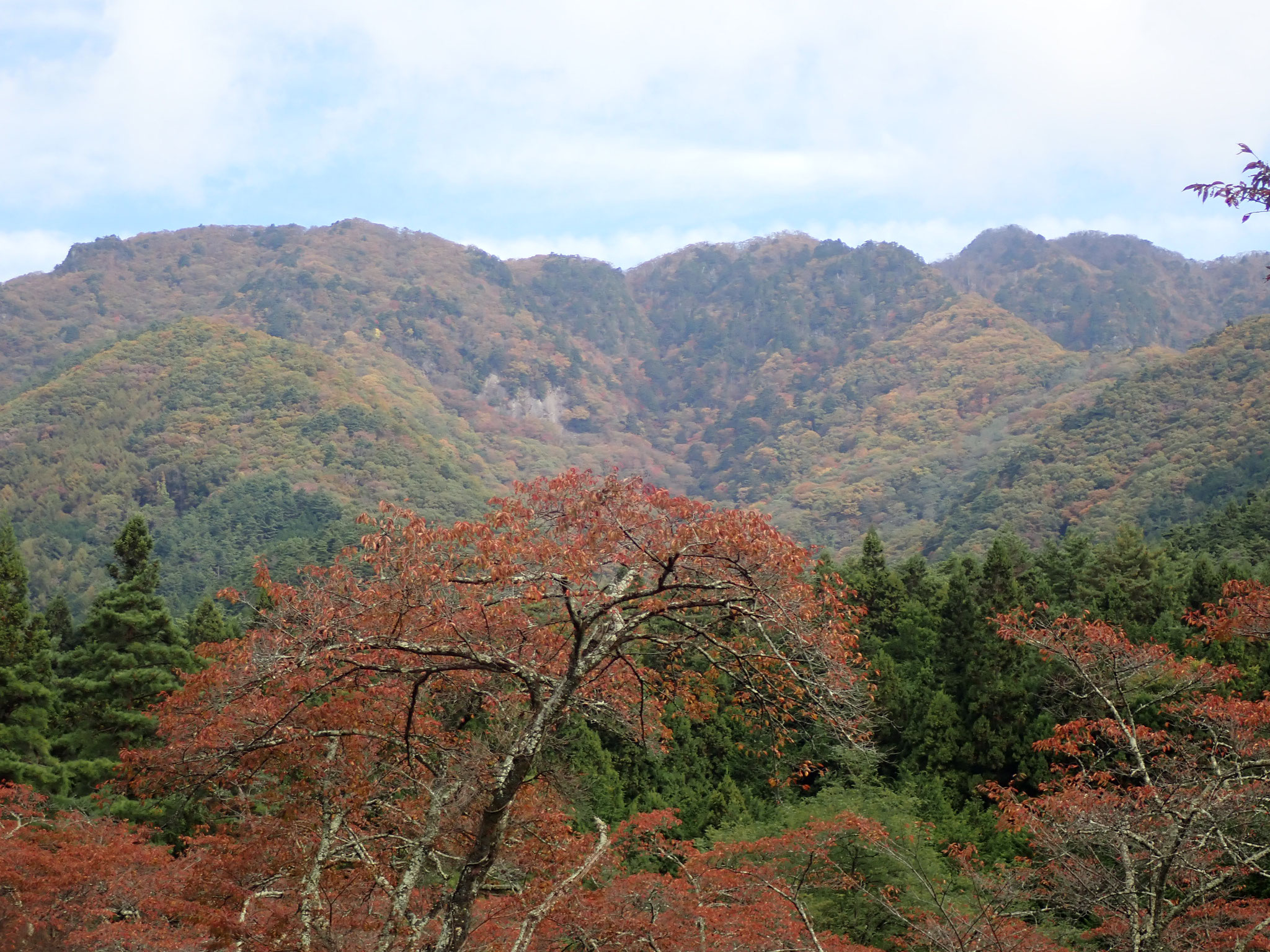 登山口から望む滝子山