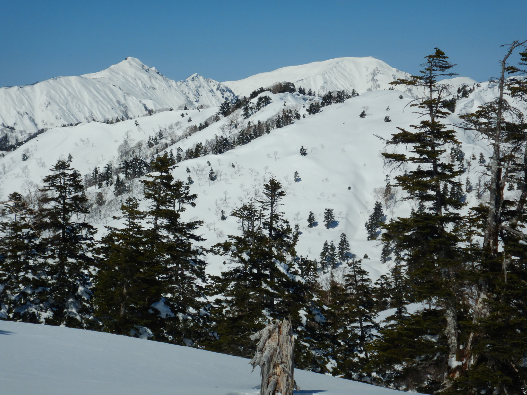 赤頭山よりの笈ヶ岳と大笠山。