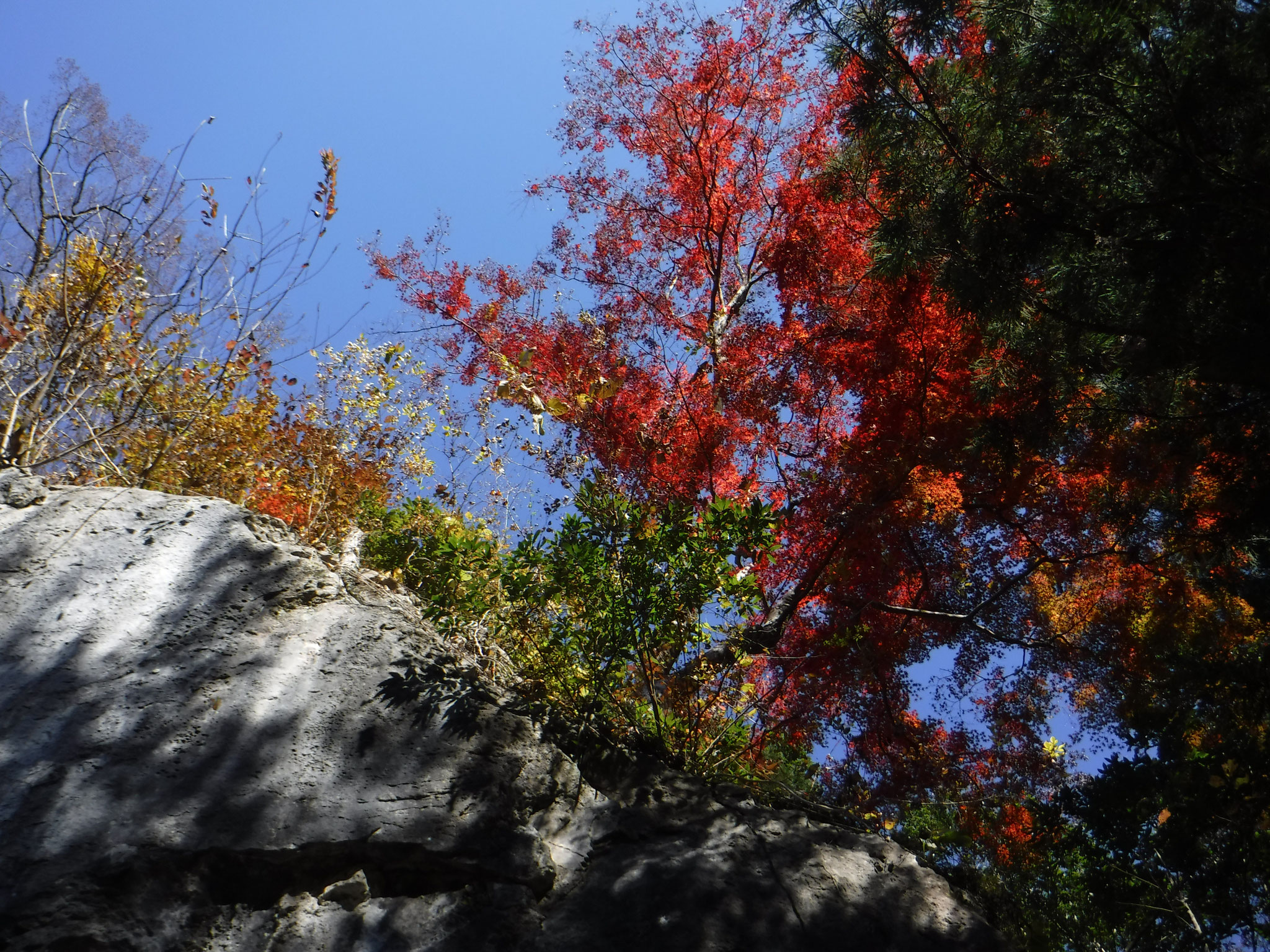 9:40　白髭神社、石灰岩の巨岩が露出している