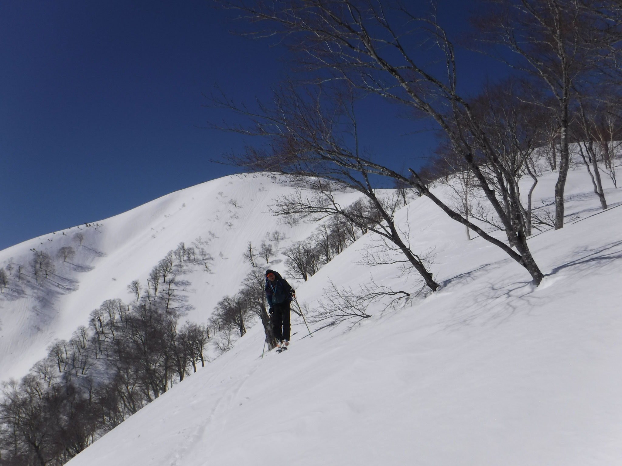 11:10　家向山の鞍部へ向けて