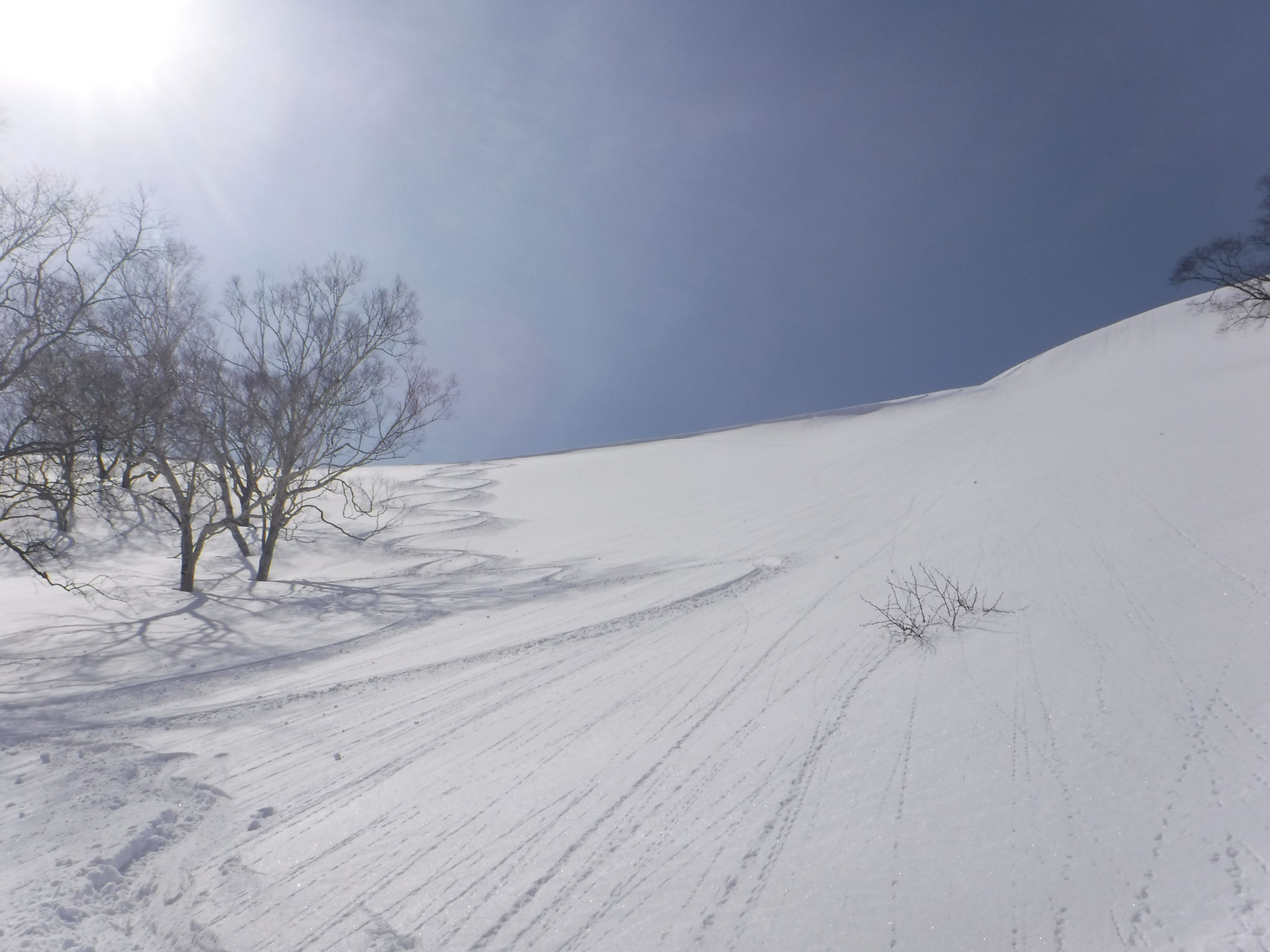 最高の雪質！