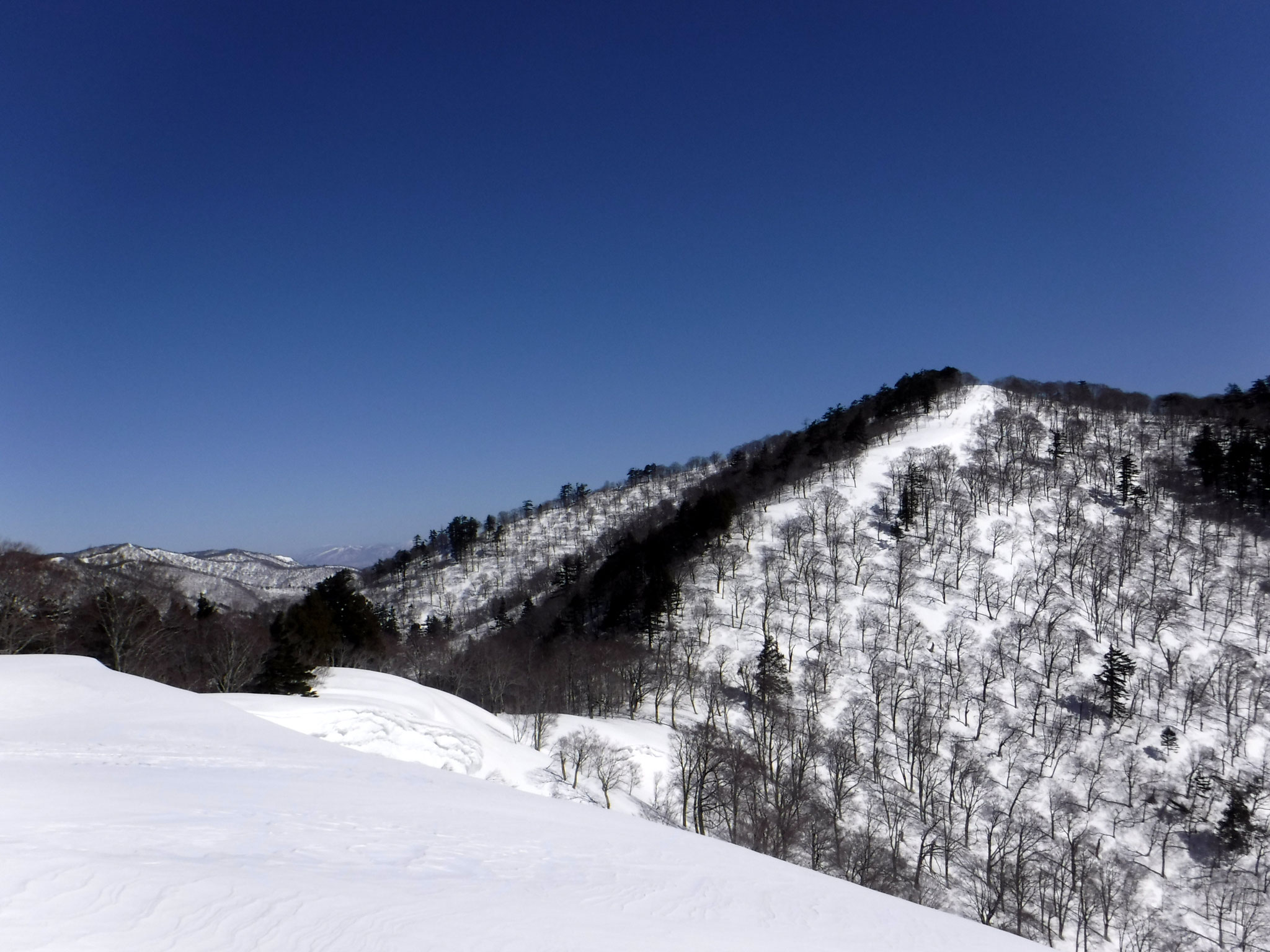 11:15　家向山西側の稜線