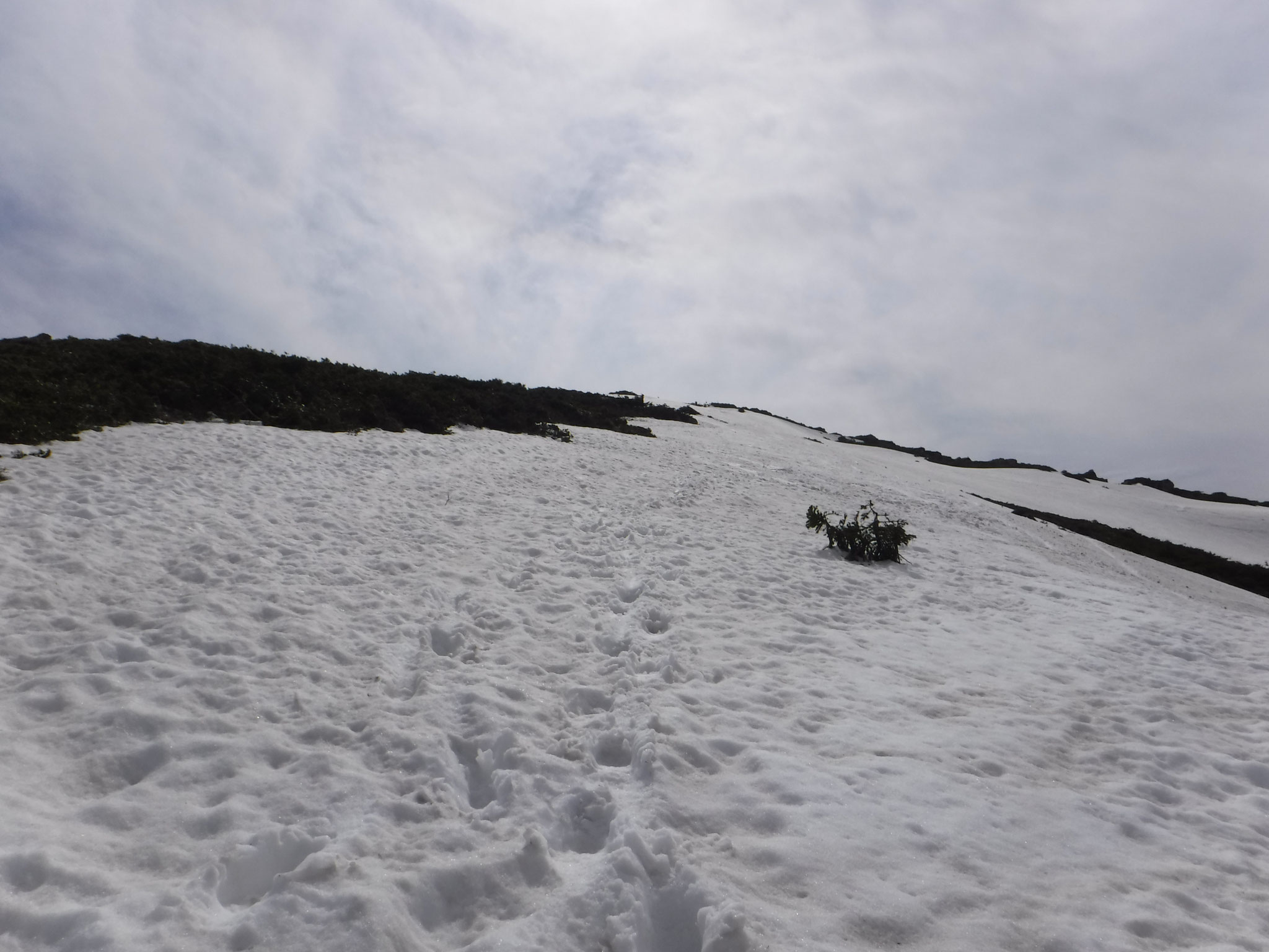 14:25　山頂直下、登山道沿いの雪面