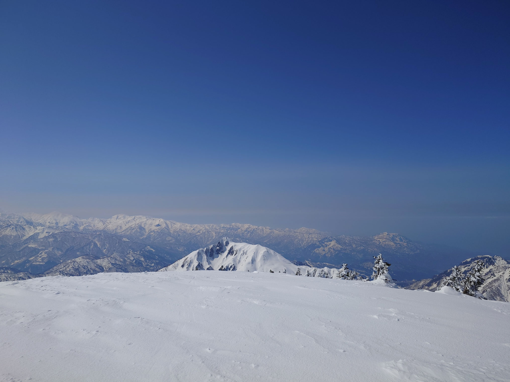 金山山頂から