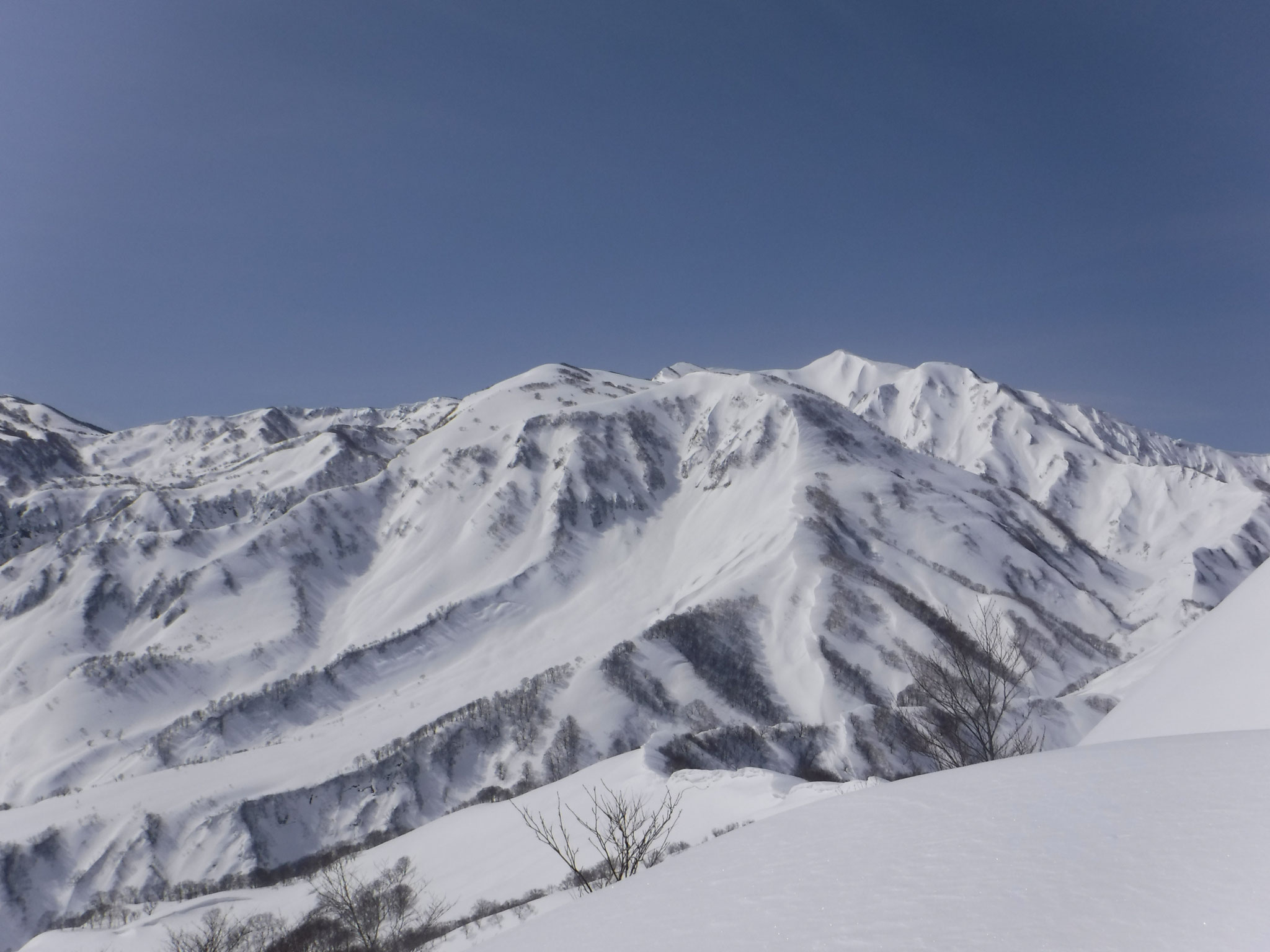 容雅山、山頂直下より火打山方面　10:07