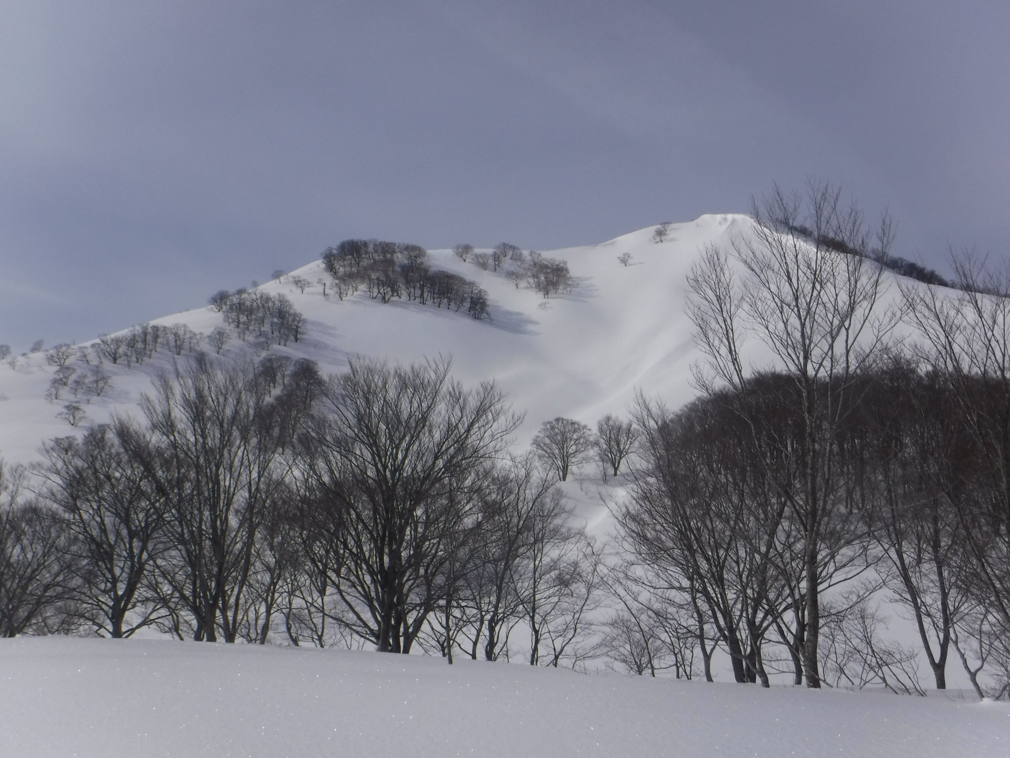 容雅山北東面。標高1200m付近より　8:50