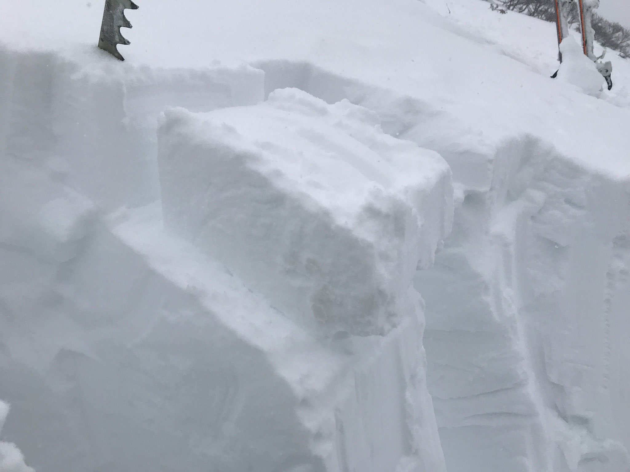 積雪は2m程度