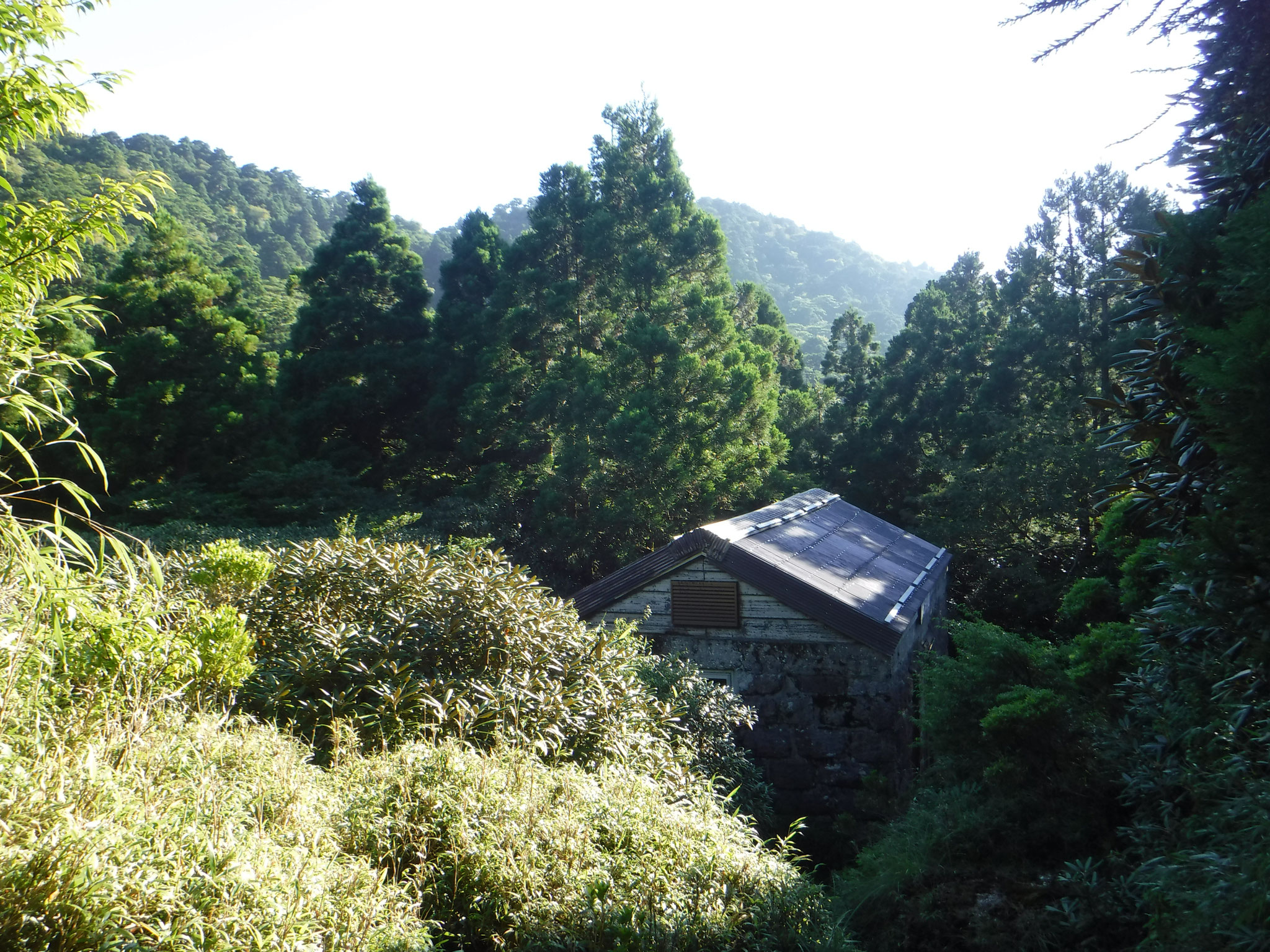 小屋は樹林に囲まれ、展望は無い