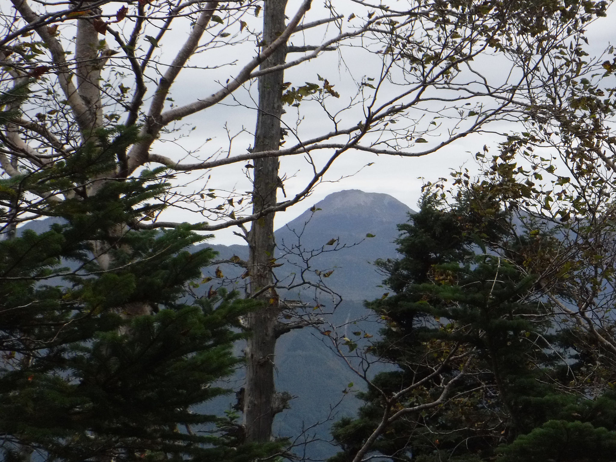 山頂から日光白根山