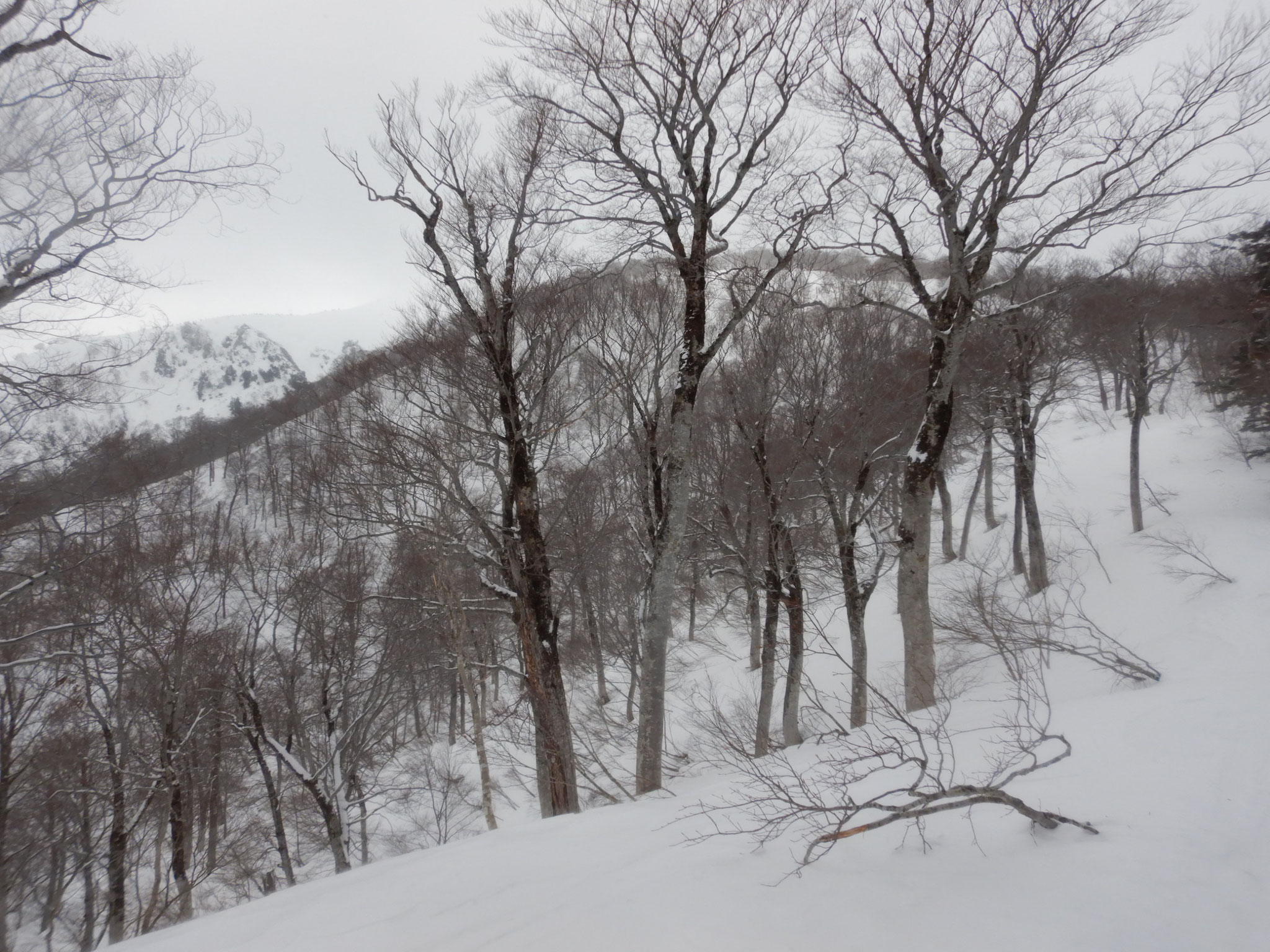 三岩岳方面が現れる。風が強くなってきた。