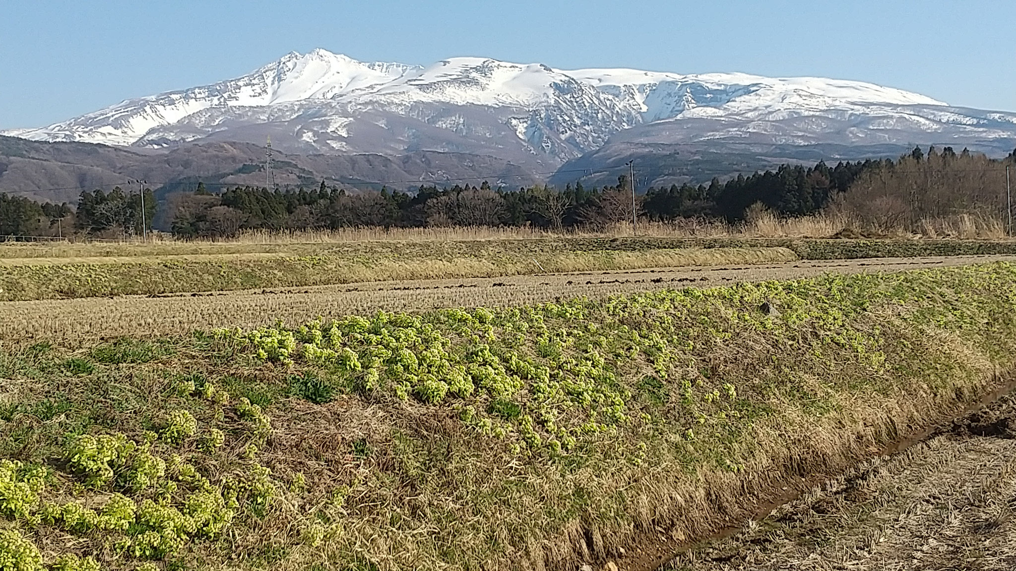 麓からの鳥海山。