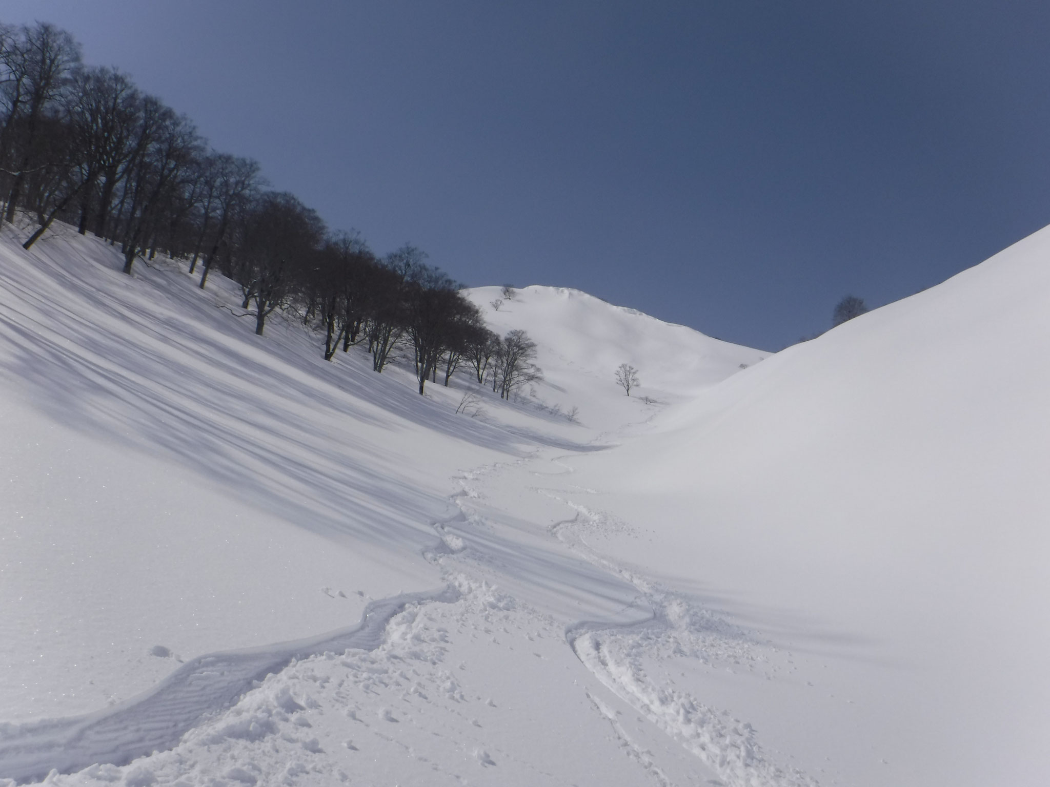 北桑沢下部はゆるかやだが、流水穴があり、油断できない。