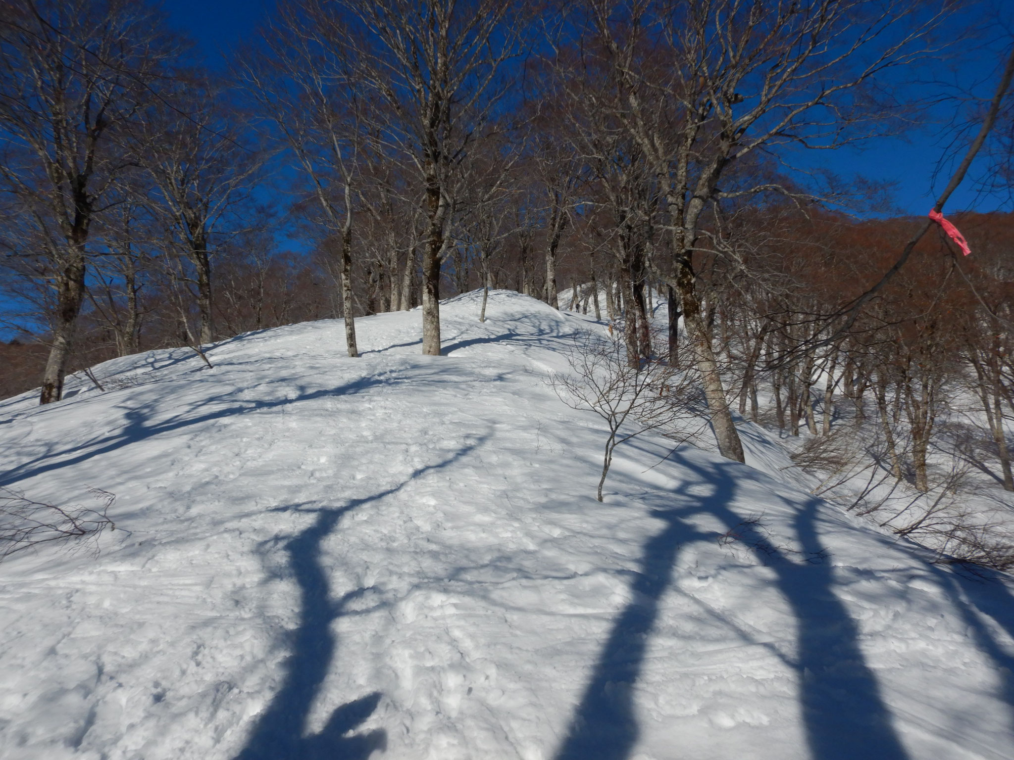 登山道の尾根を登る