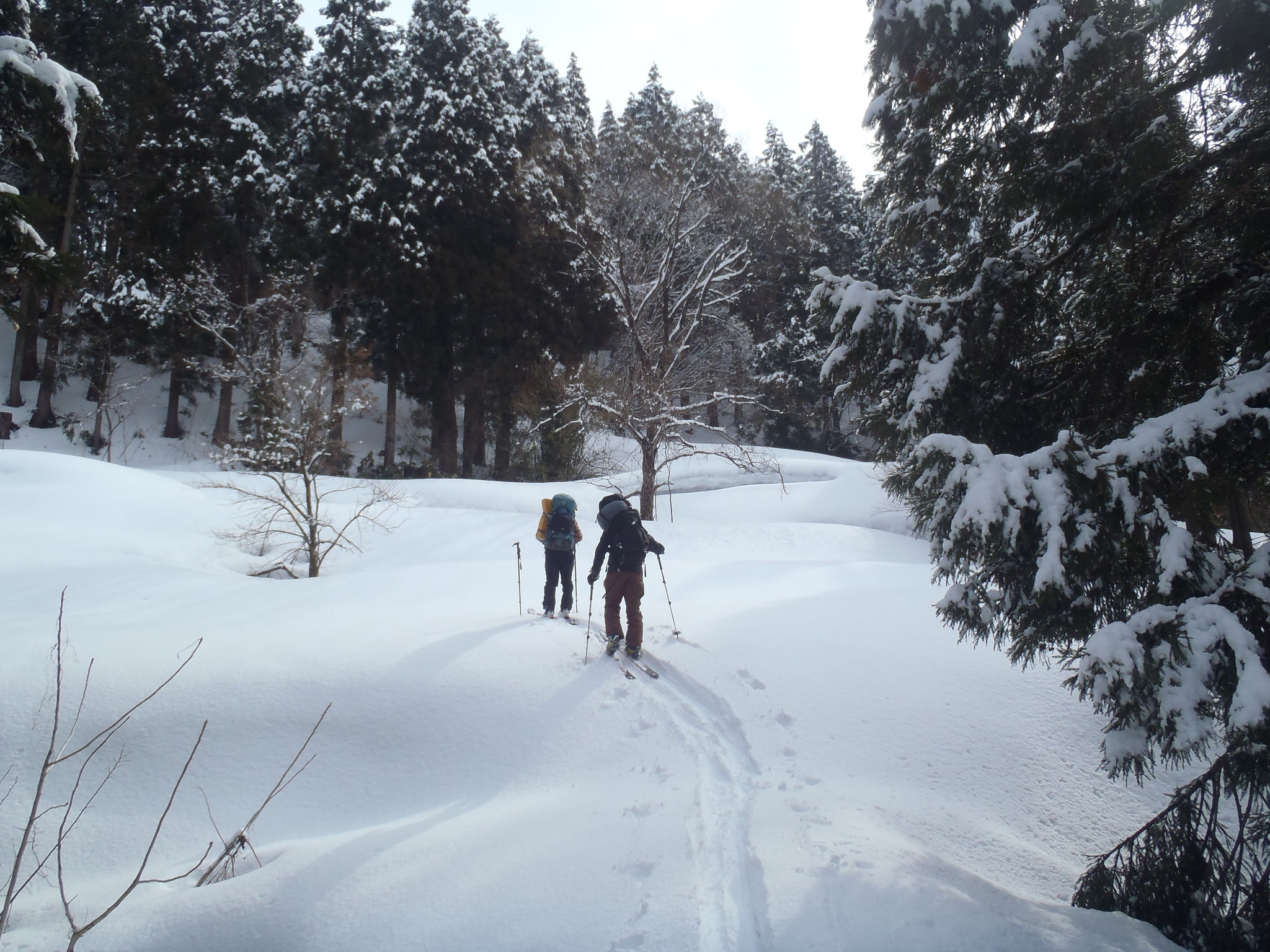 除雪終了地点よりシール登高