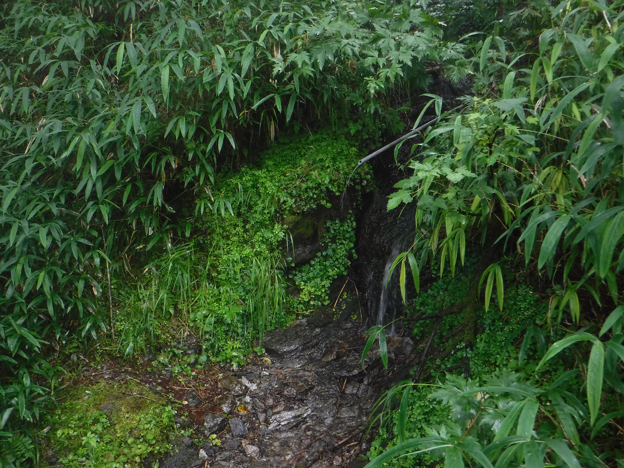 峠手前の美味しい水場