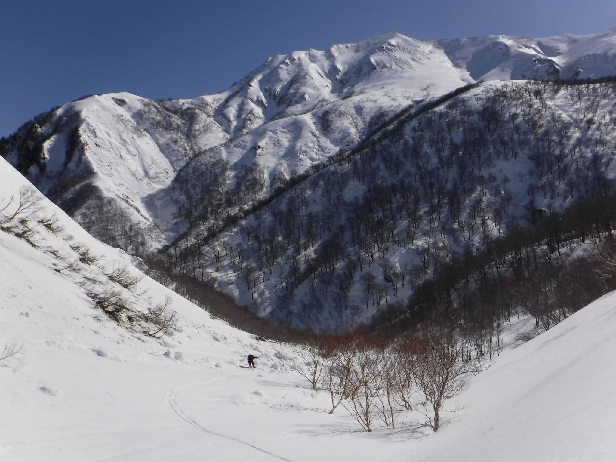 対岸の万太郎山西面も素敵な斜面