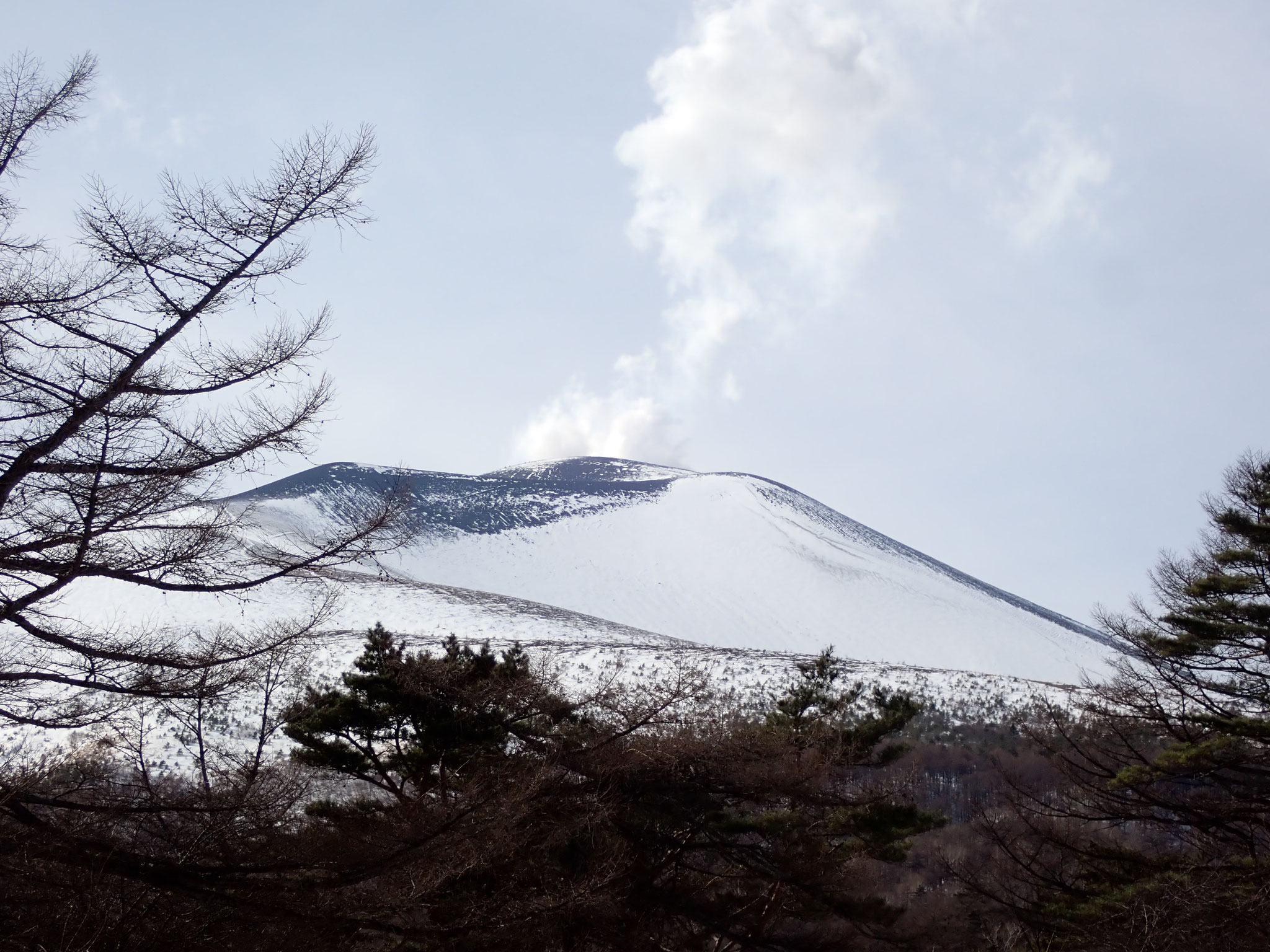 完成品 画廊池の平雪の道と妙高山 東京スキー - （TSMCの日記（ブログ） 絵画