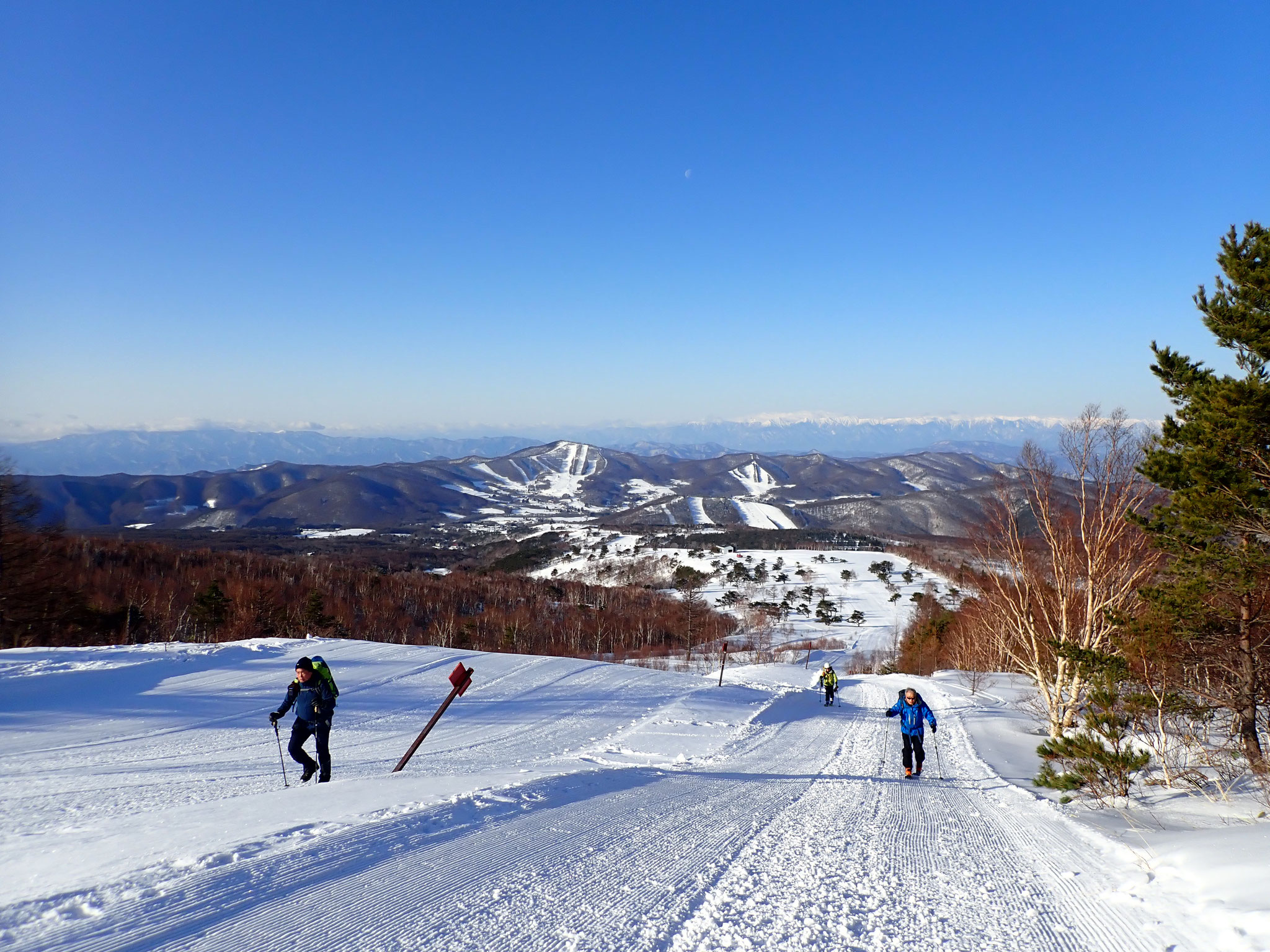 ゲレンデと化した登山道沿い、帰路は右側の尾根北側を滑った