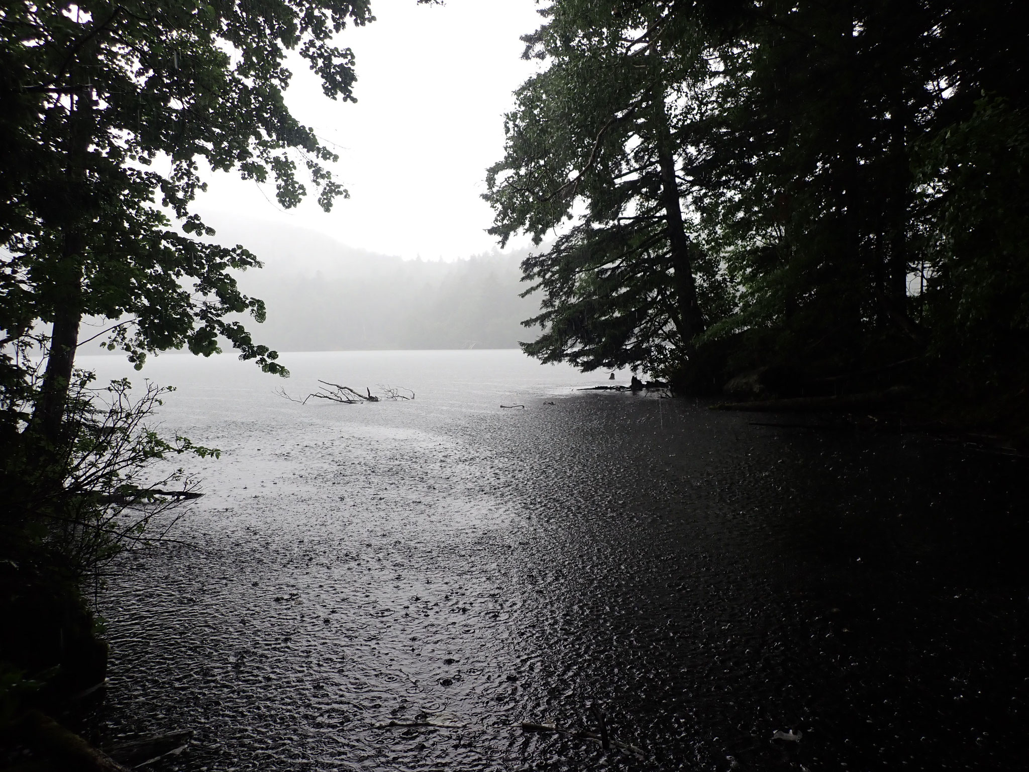 オントネー湖畔では一時強い雨、水紋の広がる湖面が印象的
