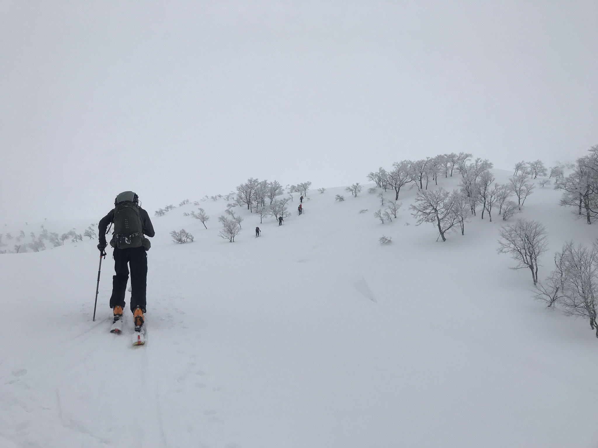 上部は新雪