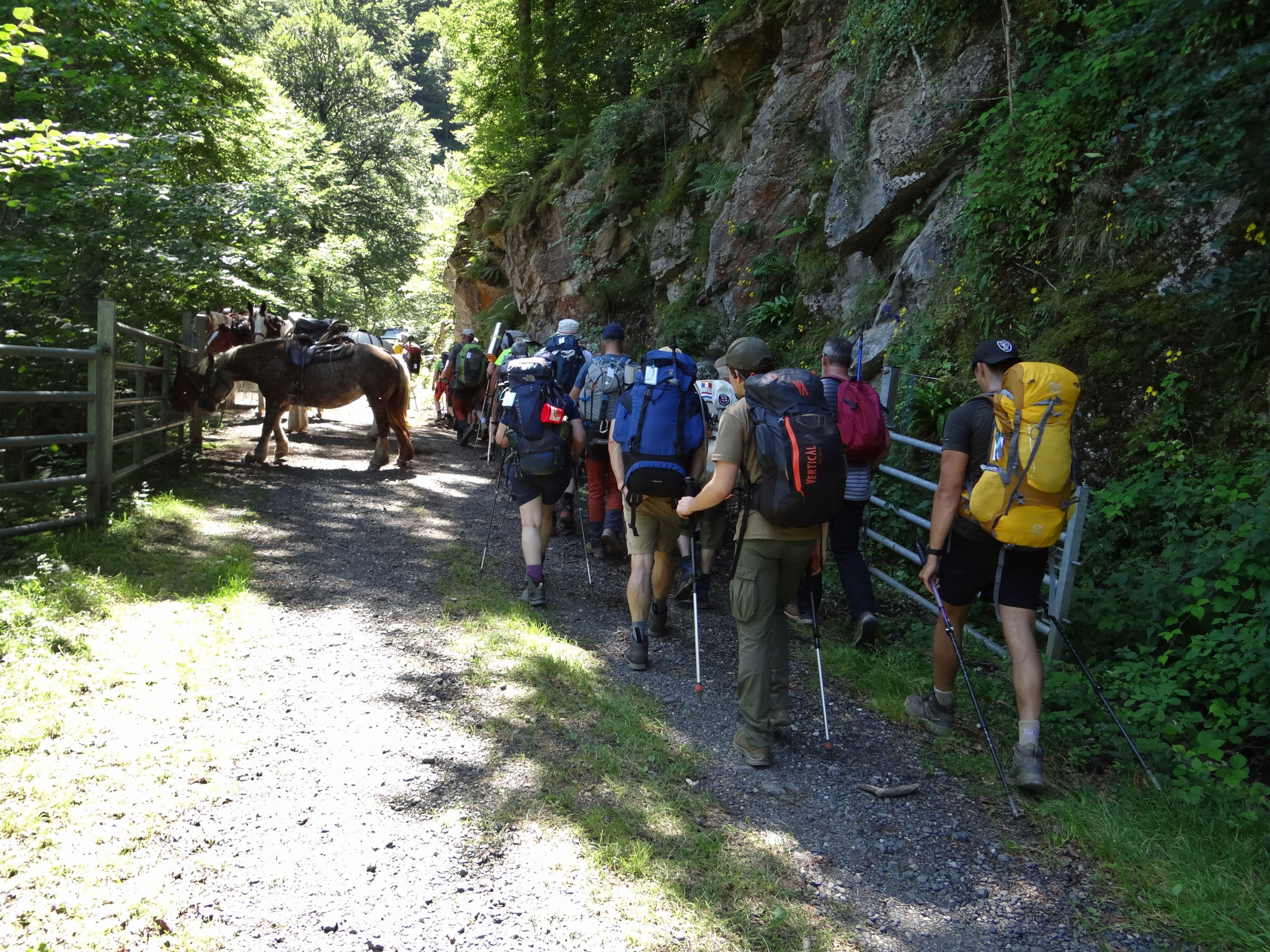 Arrivé au déjeuné de midi