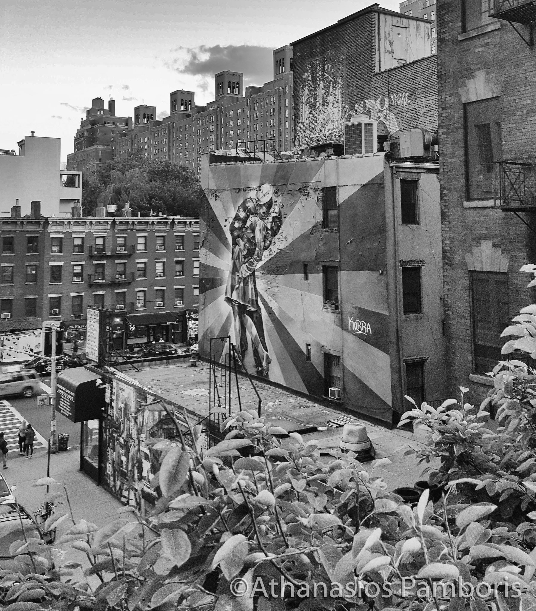 High Line Park, Manhattan, New York, USA