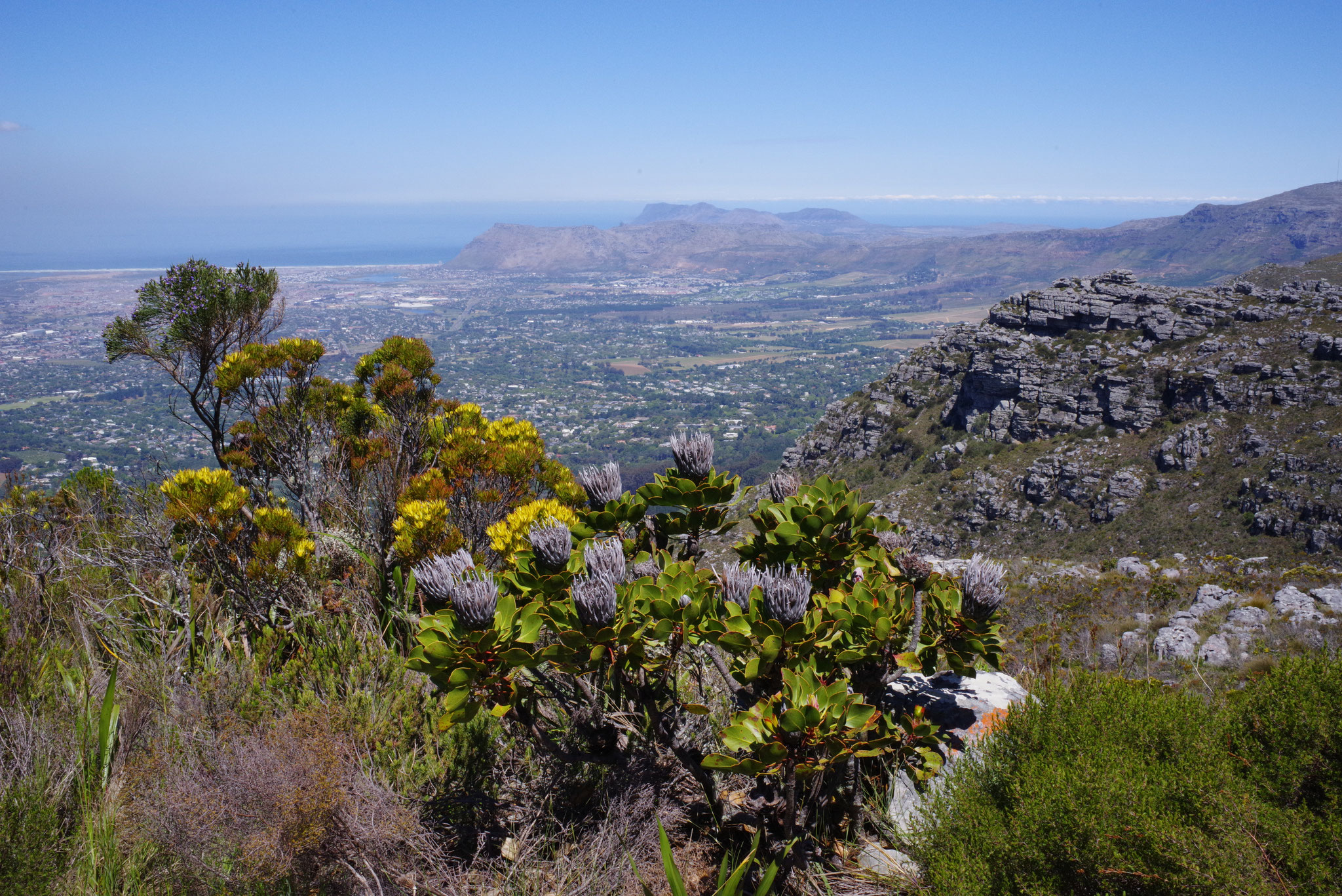 Blick vom Tafelberg