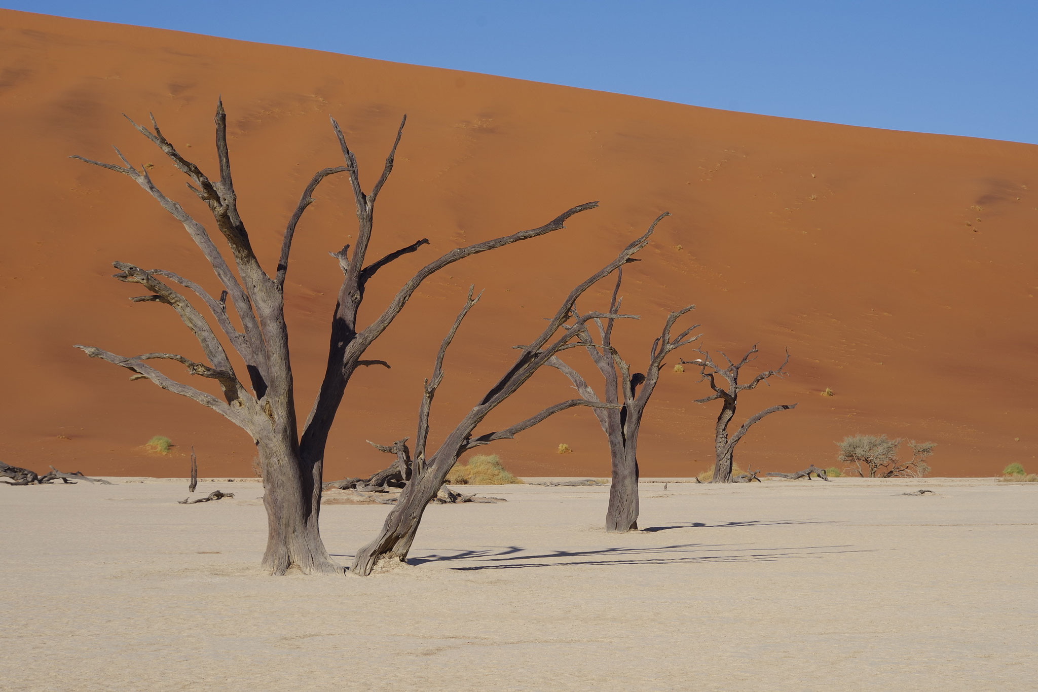 Sossusvlei Dünen