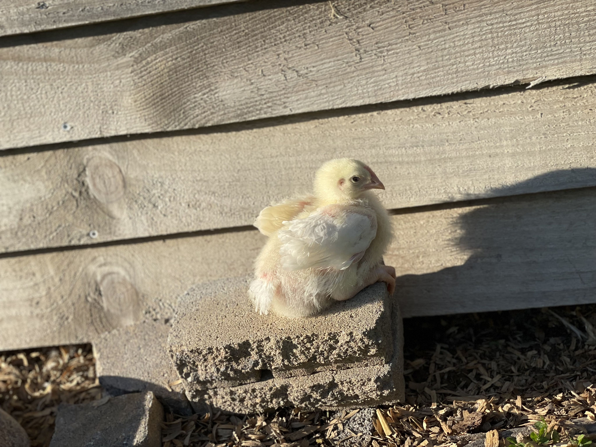 Catching some rays!