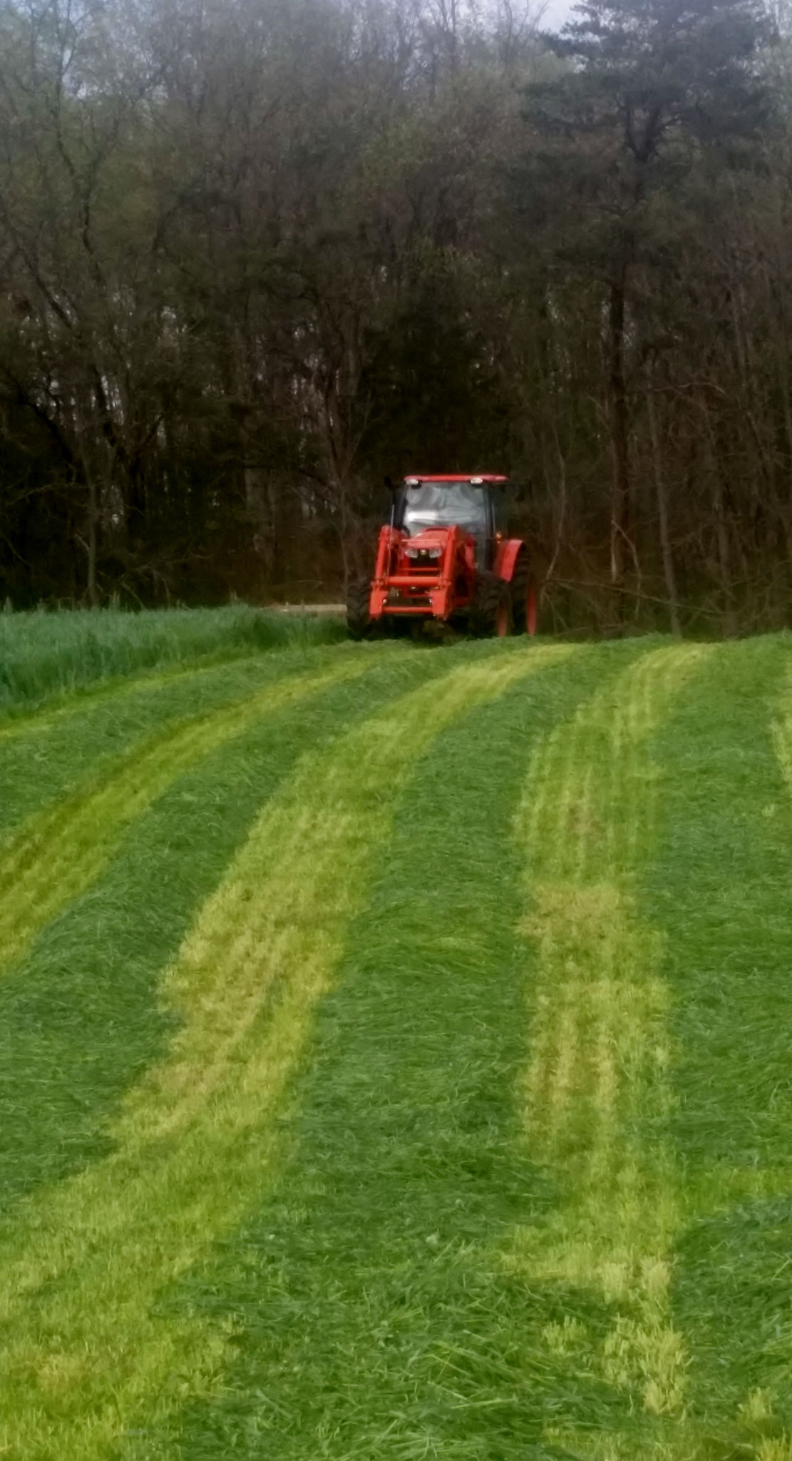 Making hay while the sun shines!