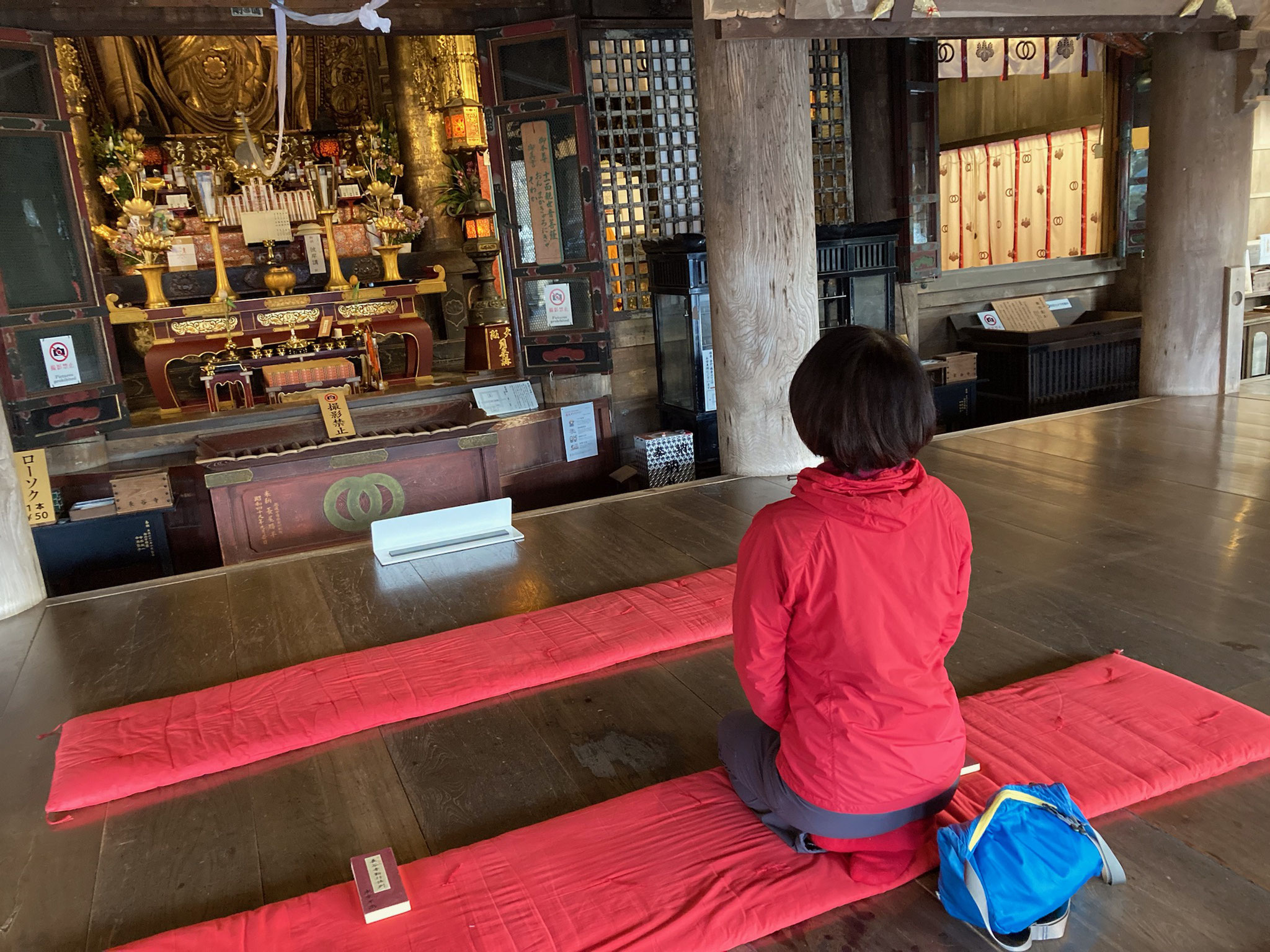 桜の長谷寺朝勤行