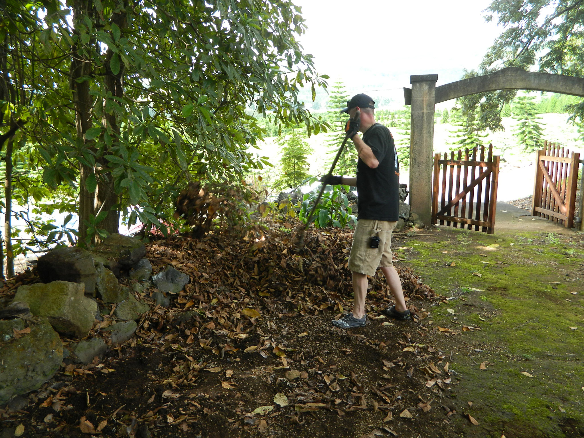 新メンバーと共にパハラ日系人墓地の清掃