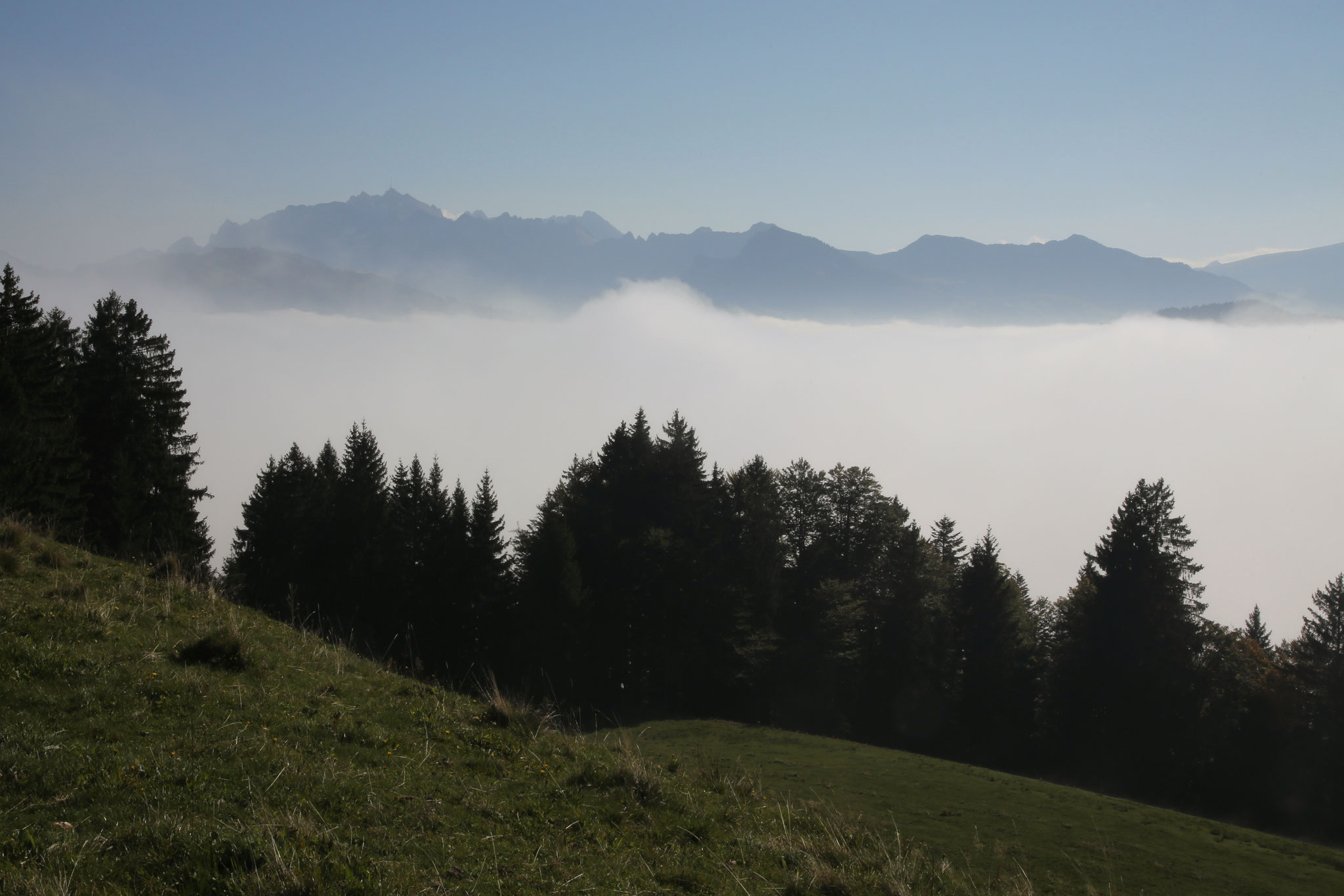 Aussicht vom Girlen Richtung Alpstein