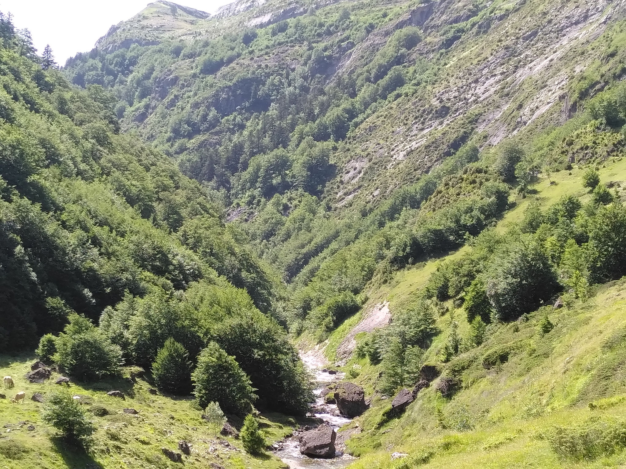 La gorge du gave de Soussouéou