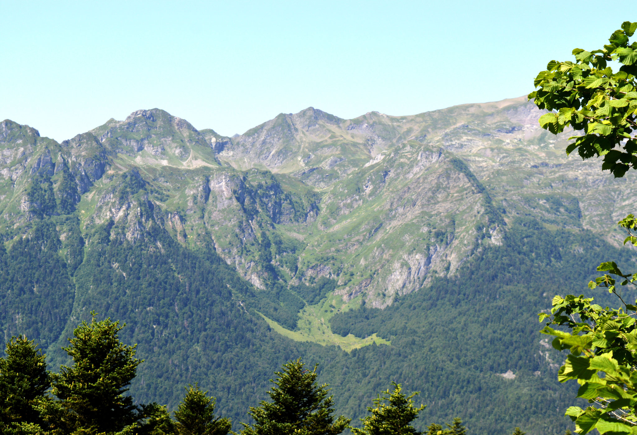 Au loin la clairière d'Ayguebère