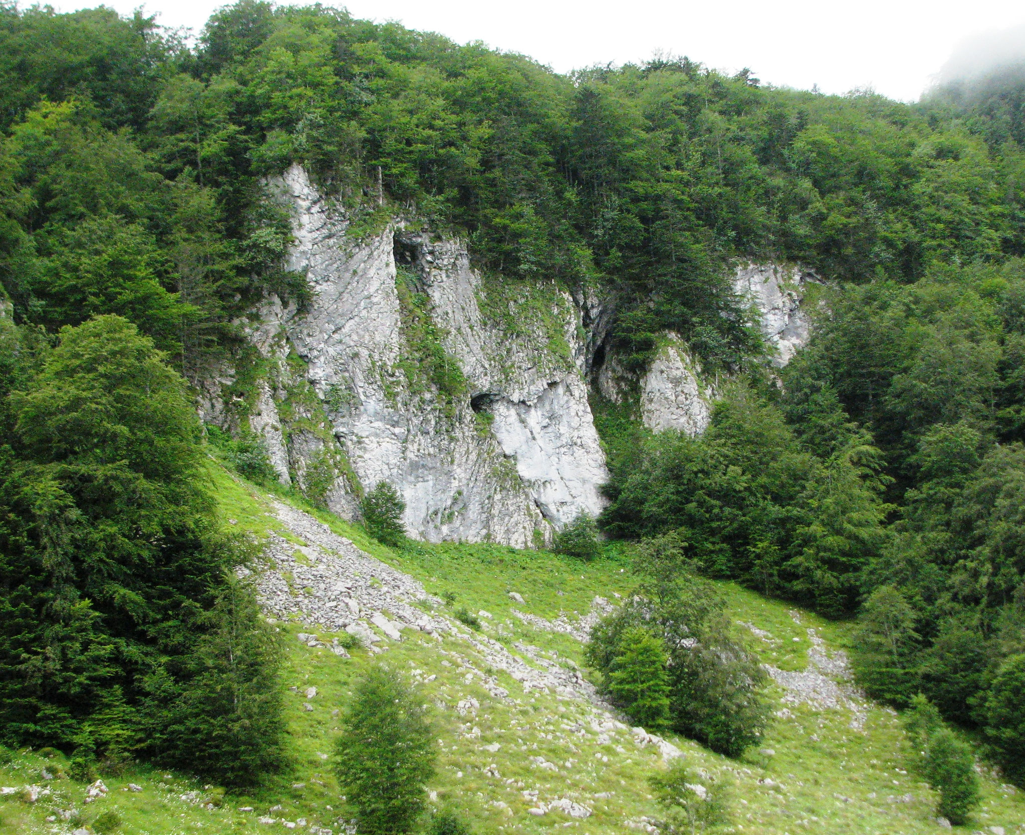 La falaise à androsace